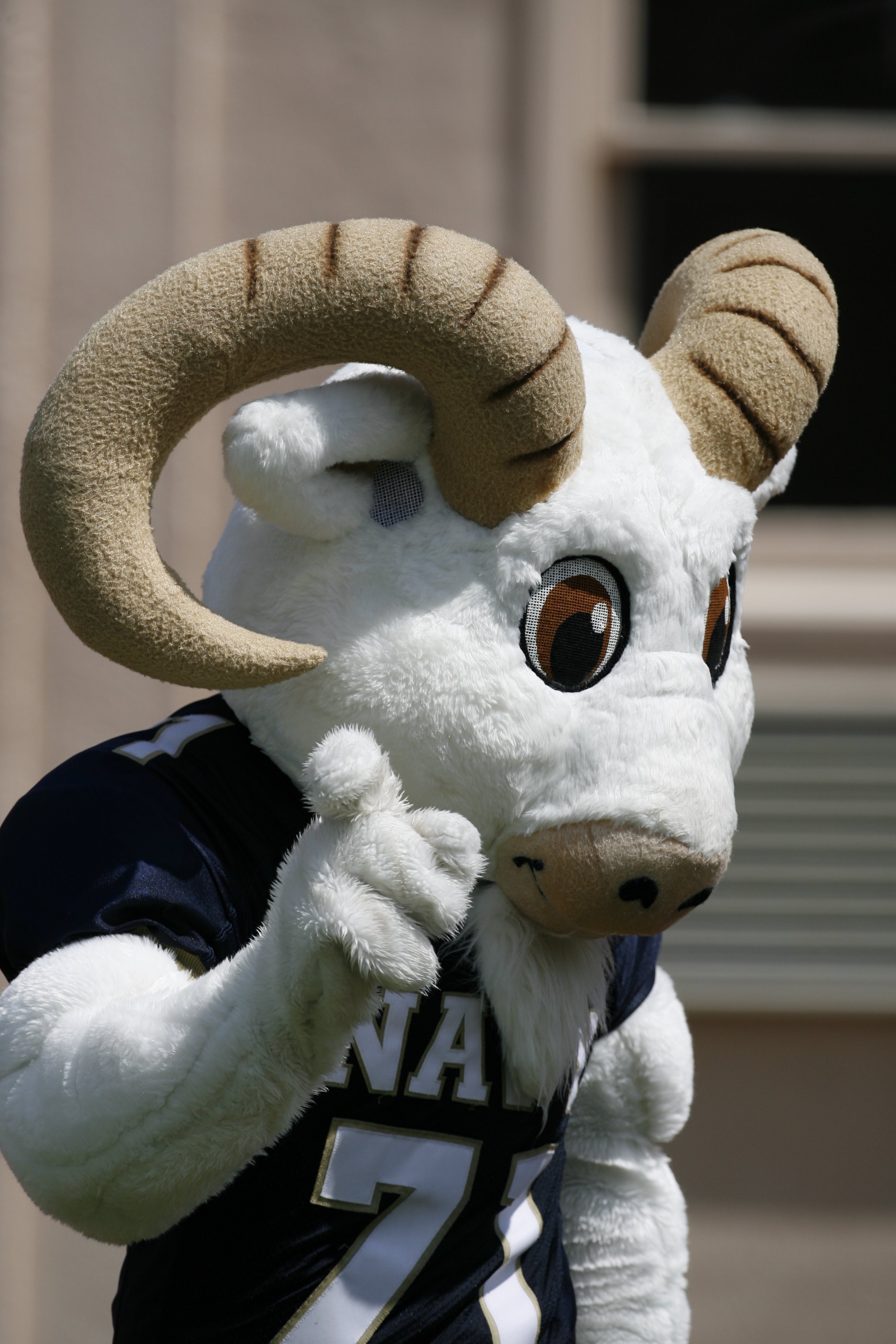 The 50 Best Mascots In College Football News Scores Highlights 7919
