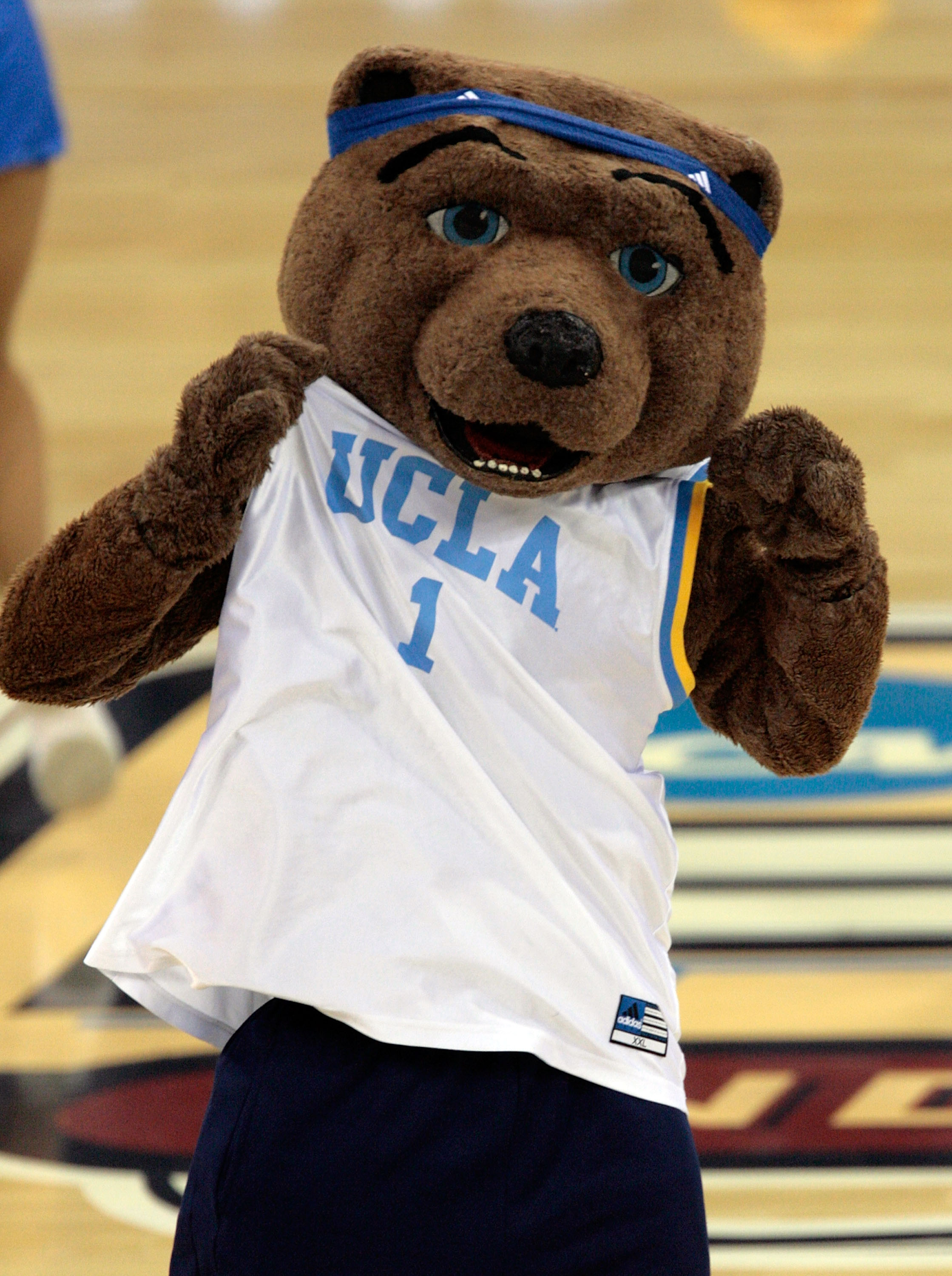 INDIANAPOLIS - APRIL 03:  Joe Bruin, the UCLA Bruins mascot. performs during a break in the game against the Florida Gators during the National Championship game of the NCAA Men's Final Four on April 3, 2006 at the RCA Dome in Indianapolis, Indiana.  The