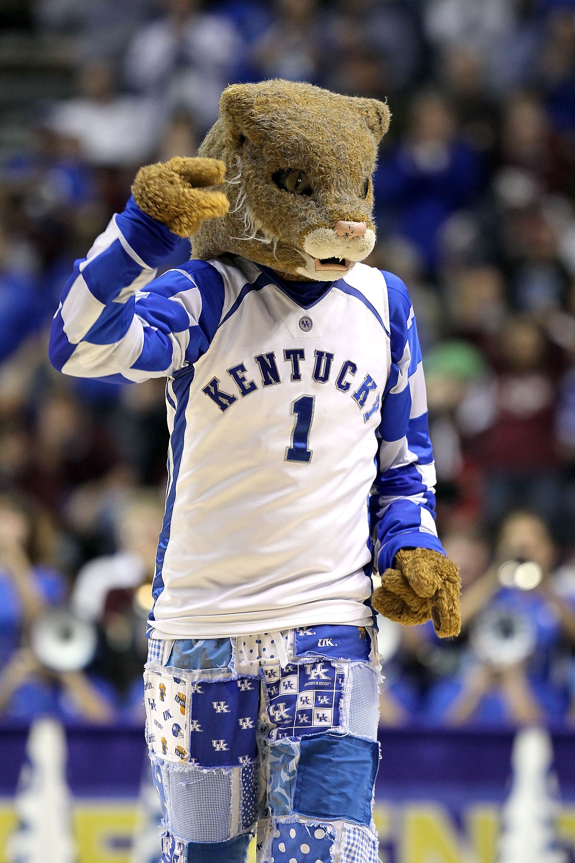 NASHVILLE, TN - MARCH 14:  The Wildcat, mascot for the Kentucky Wildcats performs against the Mississippi State Bulldogs during the final of the SEC Men's Basketball Tournament at the Bridgestone Arena on March 14, 2010 in Nashville, Tennessee.  (Photo by