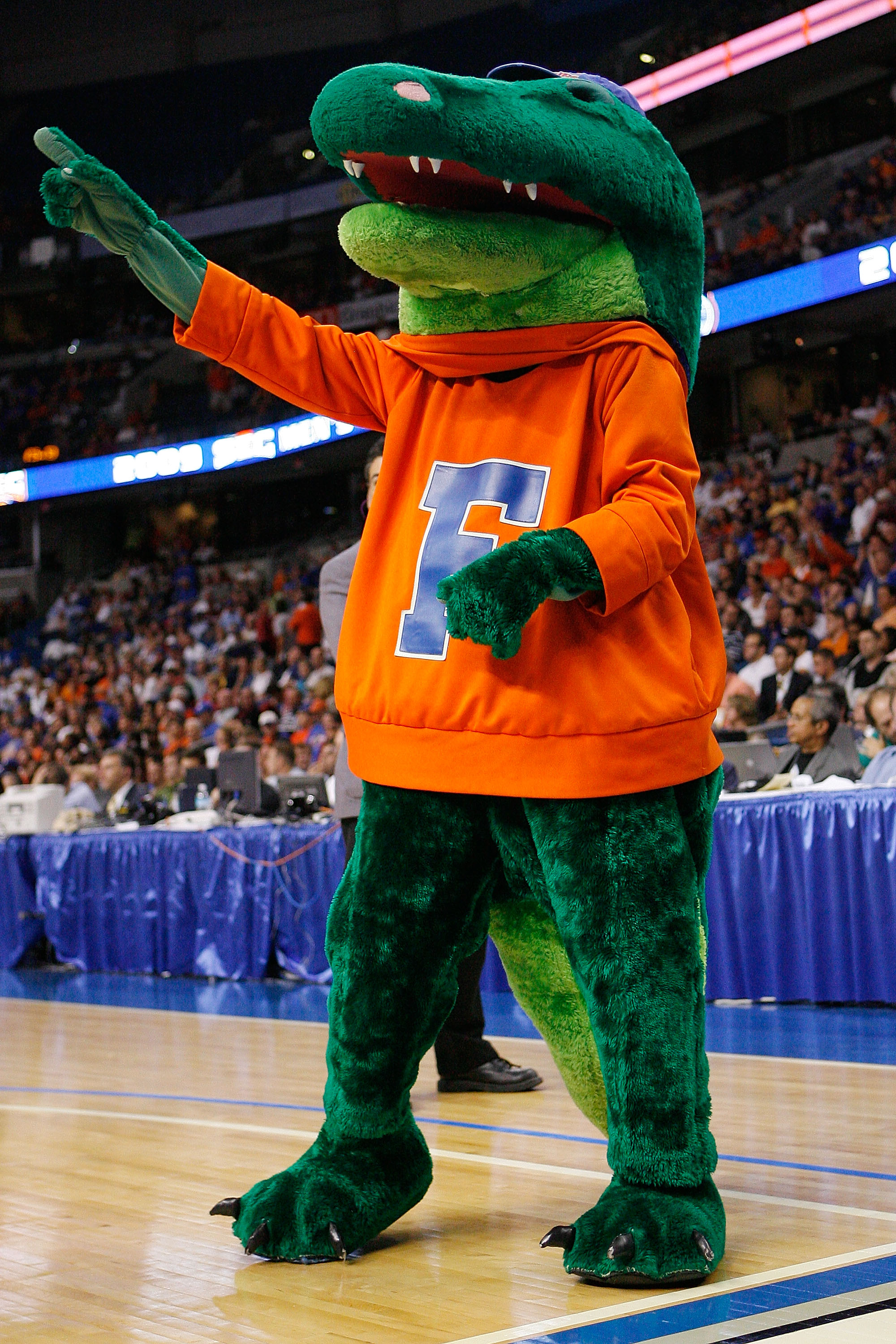 TAMPA, FL - MARCH 13:  The mascot of the Florida Gators cheers during the game against the Auburn Tigers during the quaterfinal round of the SEC Men's Basketball Tournament on March 13, 2009 at The St. Pete Times Forum in Tampa, Florida.  (Photo by Chris