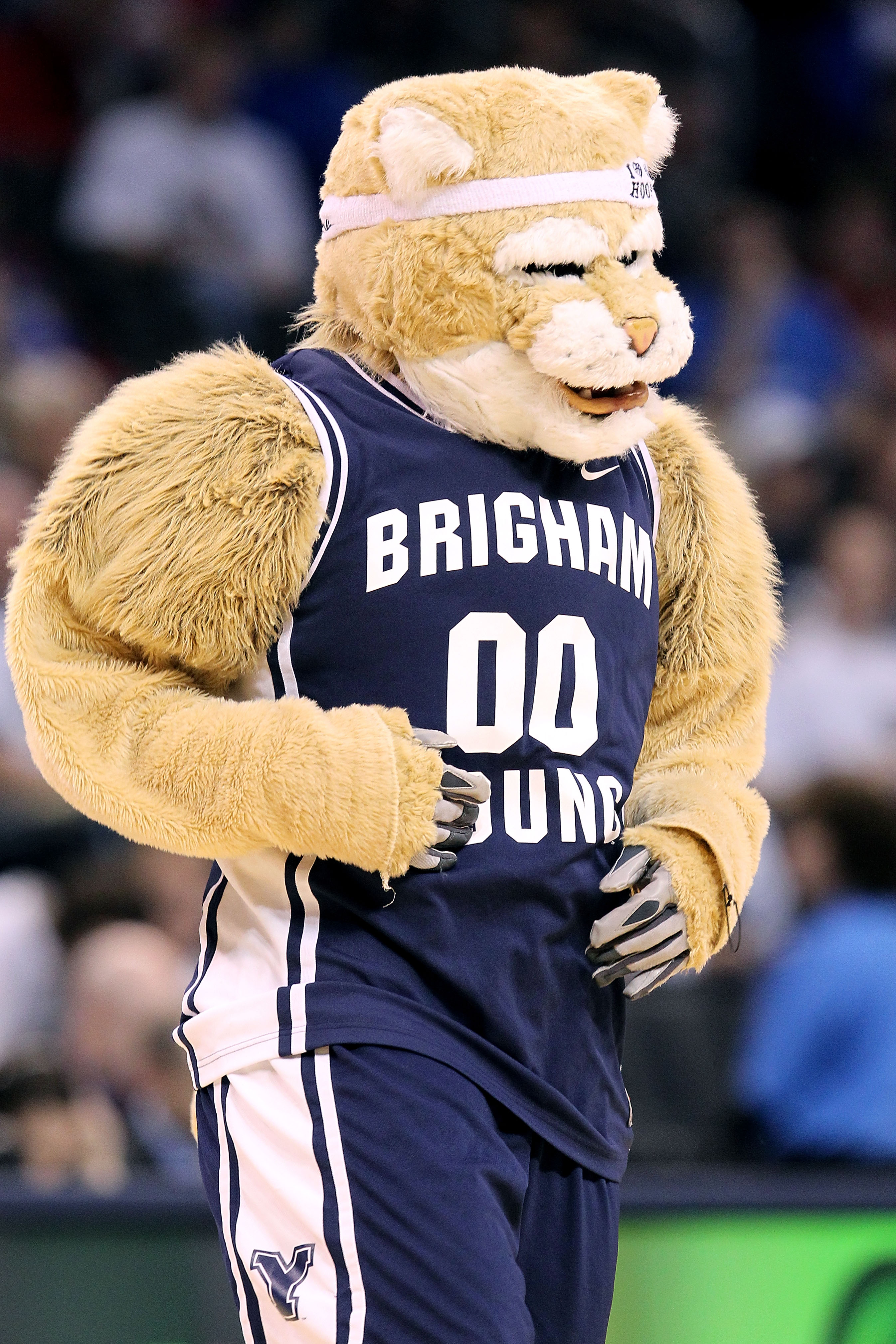 OKLAHOMA CITY - MARCH 18:  Cosmo the mascot of the BYU Cougars performs against the Florida Gators during the first round of the 2010 NCAA men�s basketball tournament at Ford Center on March 18, 2010 in Oklahoma City, Oklahoma.  (Photo by Ronald Martinez/