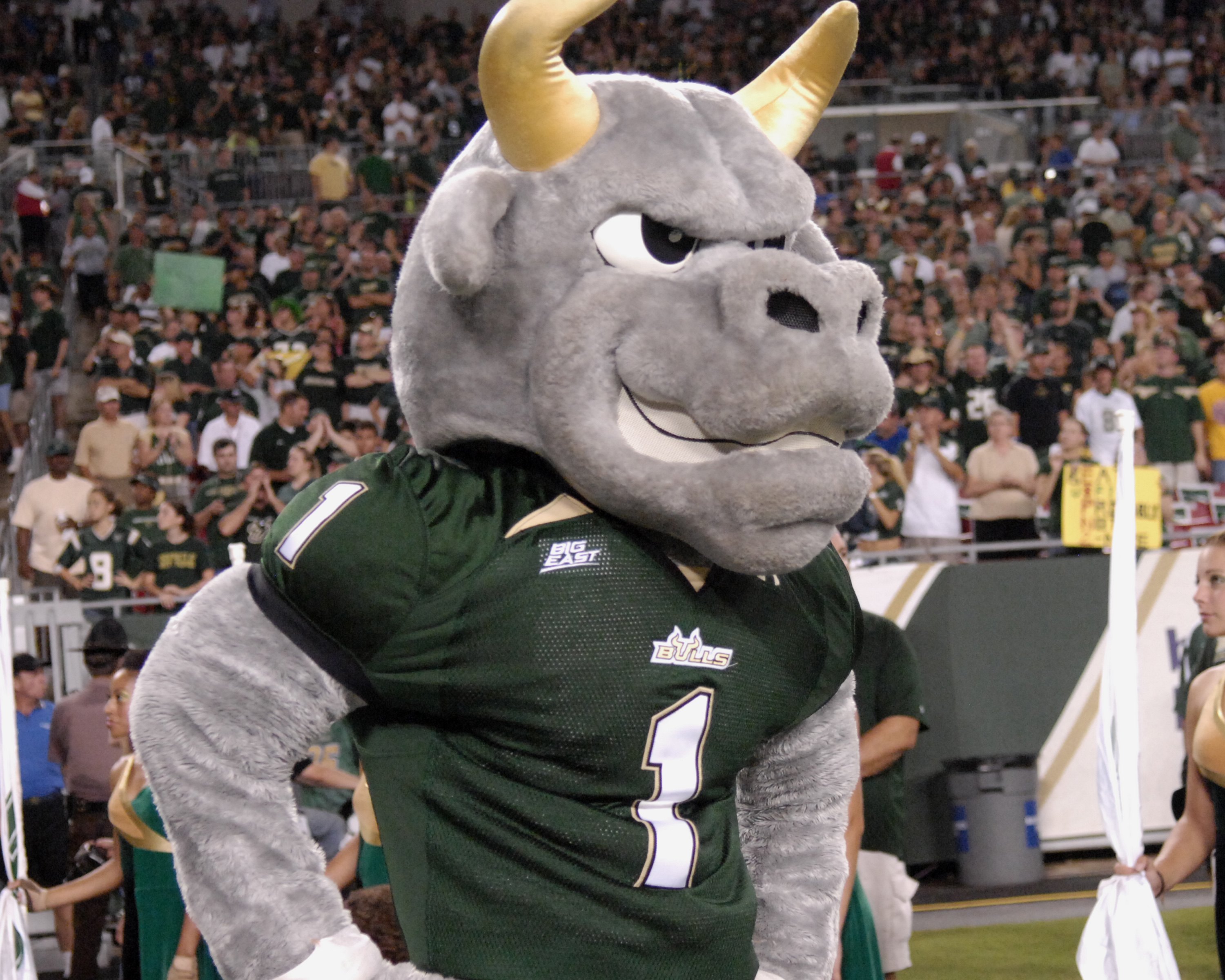 TAMPA, FL - SEPTEMBER 12: The mascot of the University of South Florida Bulls cheer play against the Kansas University Jayhawks at Raymond James Stadium on September 12, 2008 in Tampa, Florida.  (Photo by Al Messerschmidt/Getty Images)