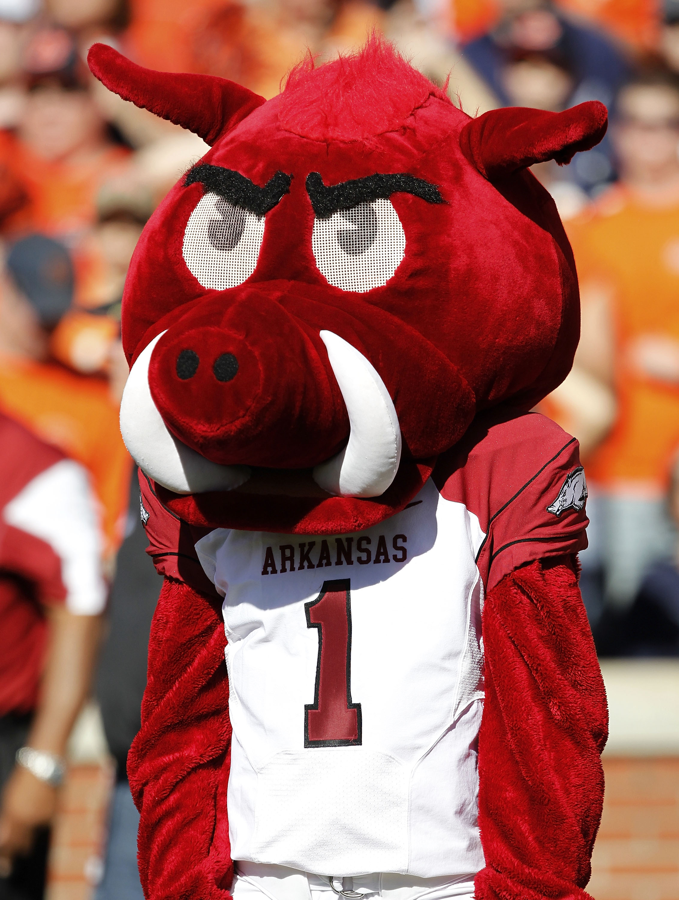 AUBURN - OCTOBER 16:  Arkansas Razorbacks mascot Big Red watches the action on the field during the game against the Auburn Tigers at Jordan-Hare Stadium on October 16, 2010 in Auburn, Alabama.  (Photo by Mike Zarrilli/Getty Images)