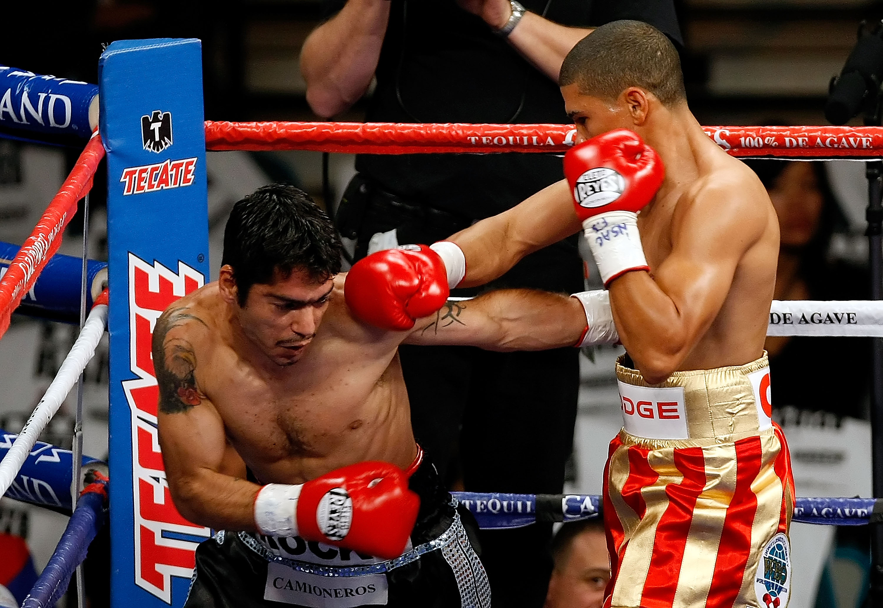 LAS VEGAS - DECEMBER 06: (R-L) Juan Manuel Lopez of Puerto Rico connects a right to the head of Sergio Medina of Argentina during their WBO junior featherweight title fight at the MGM Grand Garden Arena December 6, 2008 in Las Vegas, Nevada. (Photo by E