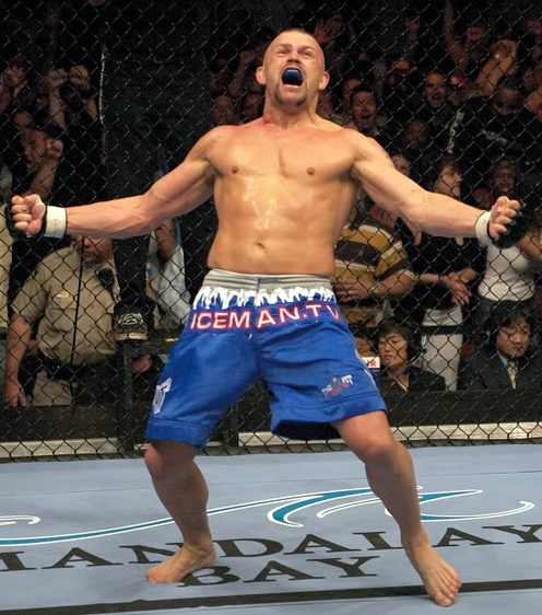 5 most dominant Brazilian UFC champions