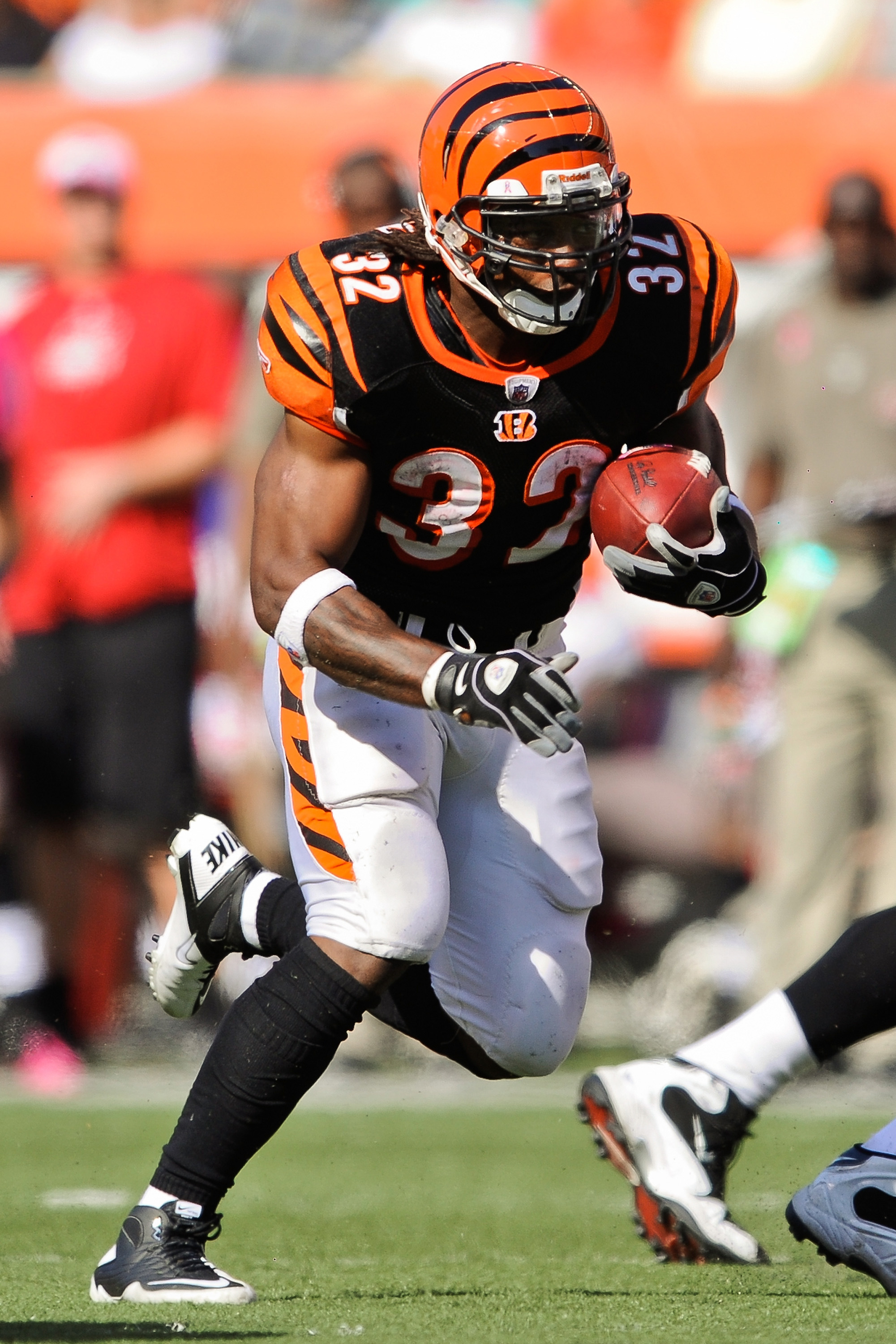 10 October 2010: Cincinnati Bengals wide receiver Terrell Owens (81)  celebrates a Cincinnati Bengals touchdown. The Tampa Bay Buccaneers  defeated the Cincinnati Bengals by a score of 24 to 21 at Paul