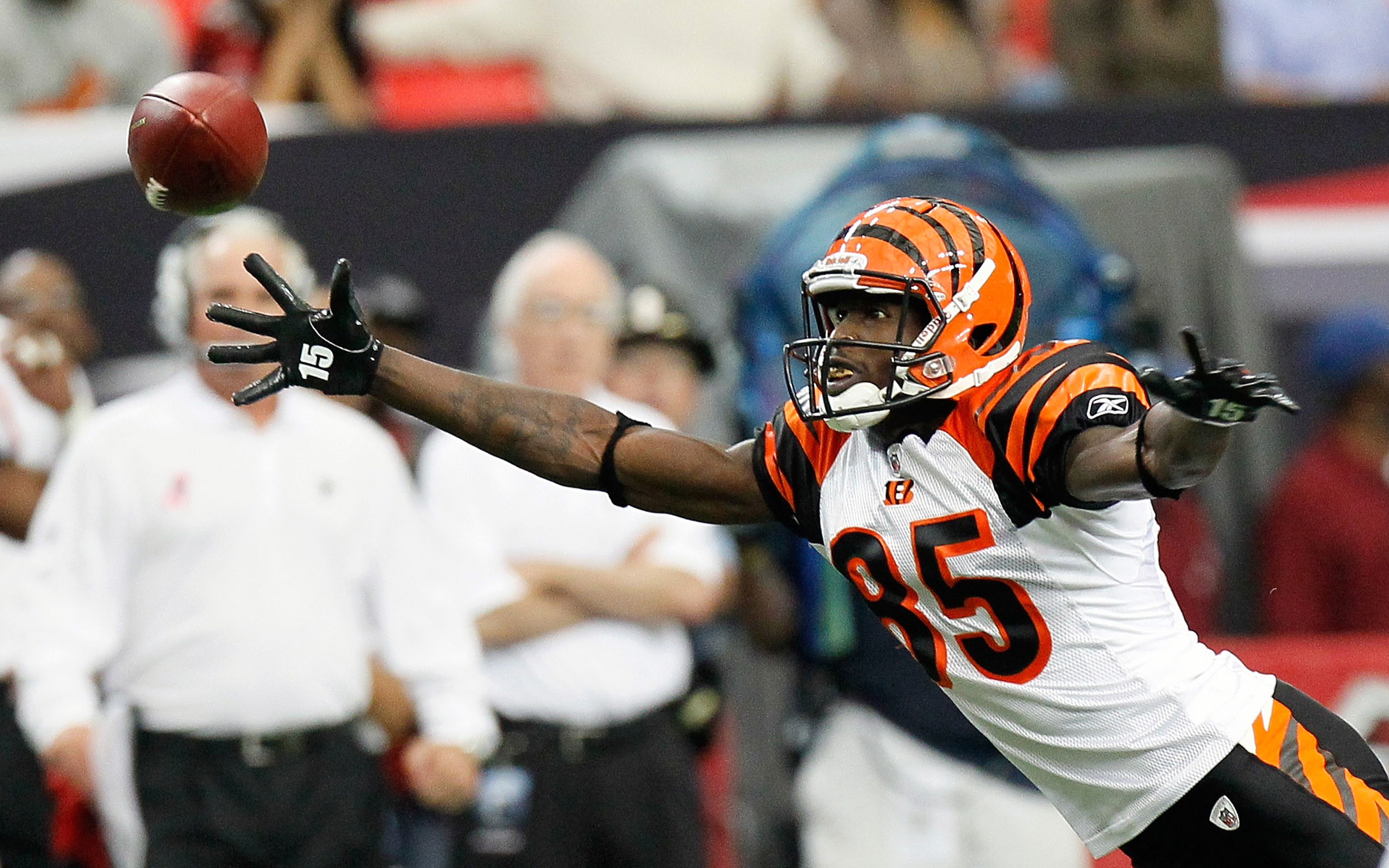 Terrell Owens and Chad Ochocinco: Why They Can't Coexist in Cincinnati HD  phone wallpaper