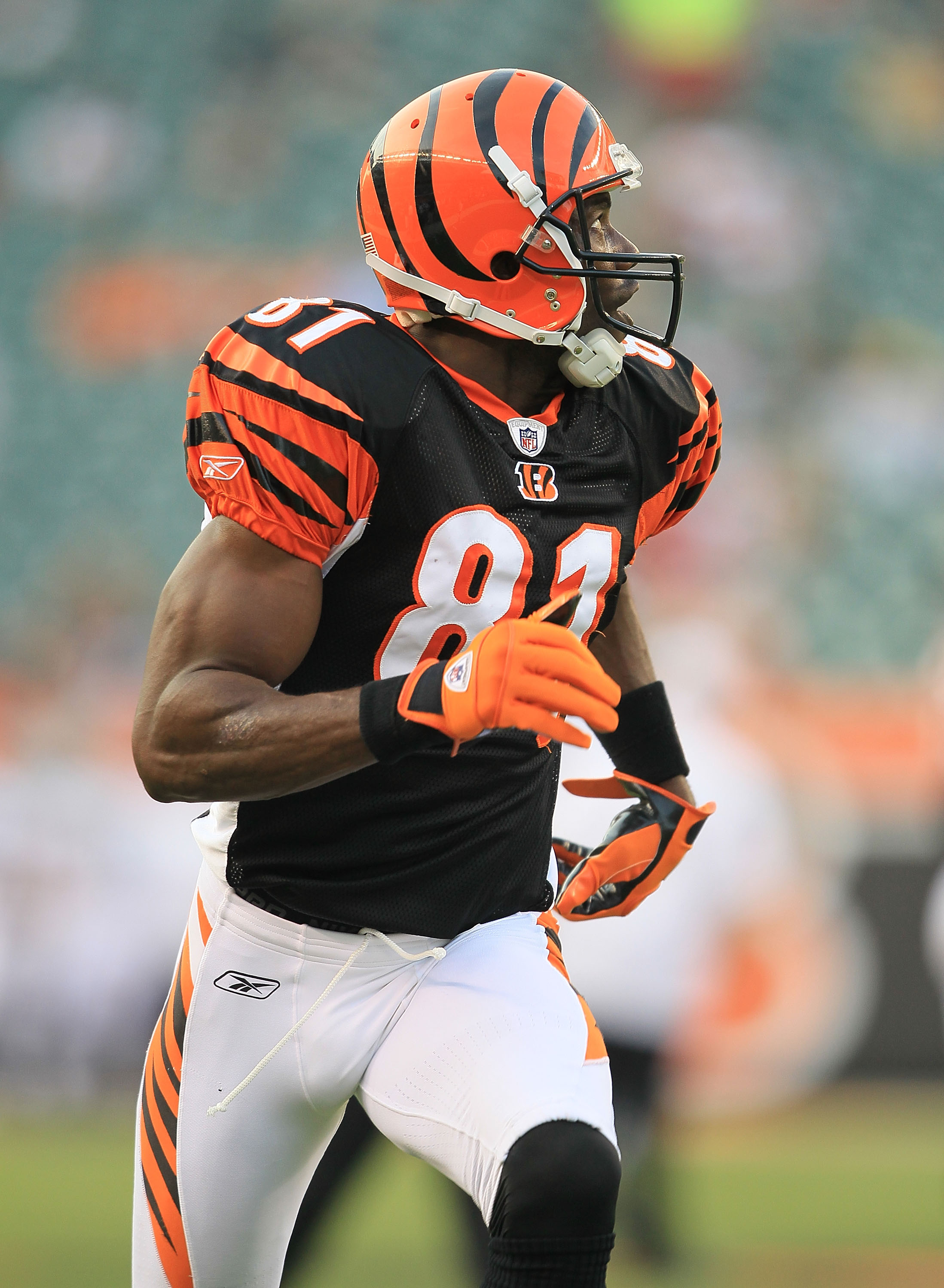 : TERRELL OWENS CINCINNATI BENGALS 8X10 HIGH GLOSSY SPORTS ACTION  PHOTO (N) : Sports & Outdoors