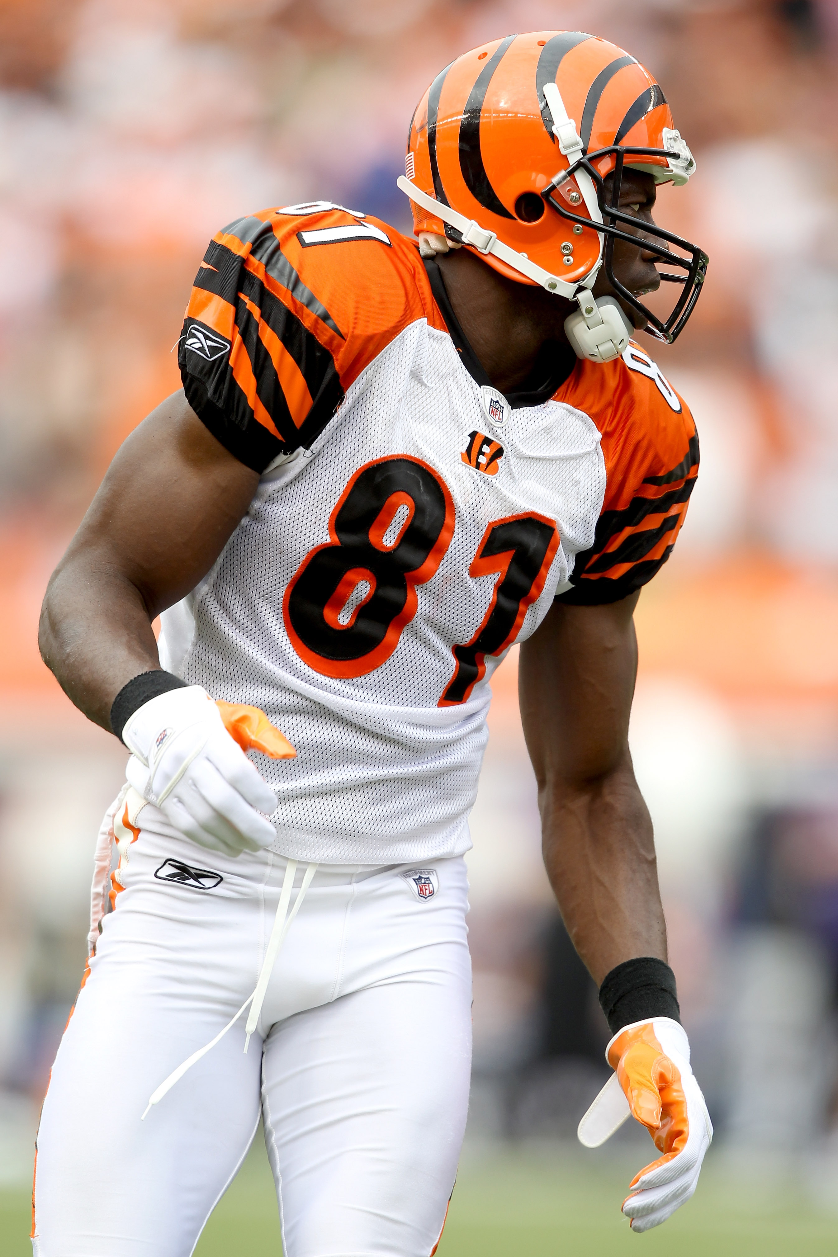 The Steelers' Defense OWNED Terrell Owens & the Bengals (2010) 