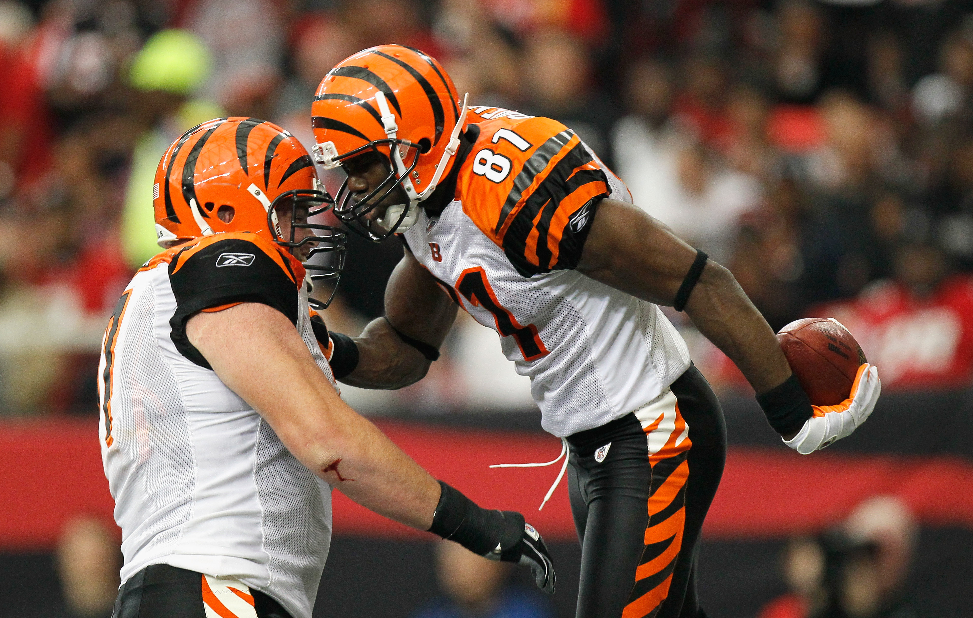 10 October 2010: Cincinnati Bengals wide receiver Terrell Owens (81)  celebrates a Cincinnati Bengals touchdown. The Tampa Bay Buccaneers  defeated the Cincinnati Bengals by a score of 24 to 21 at Paul