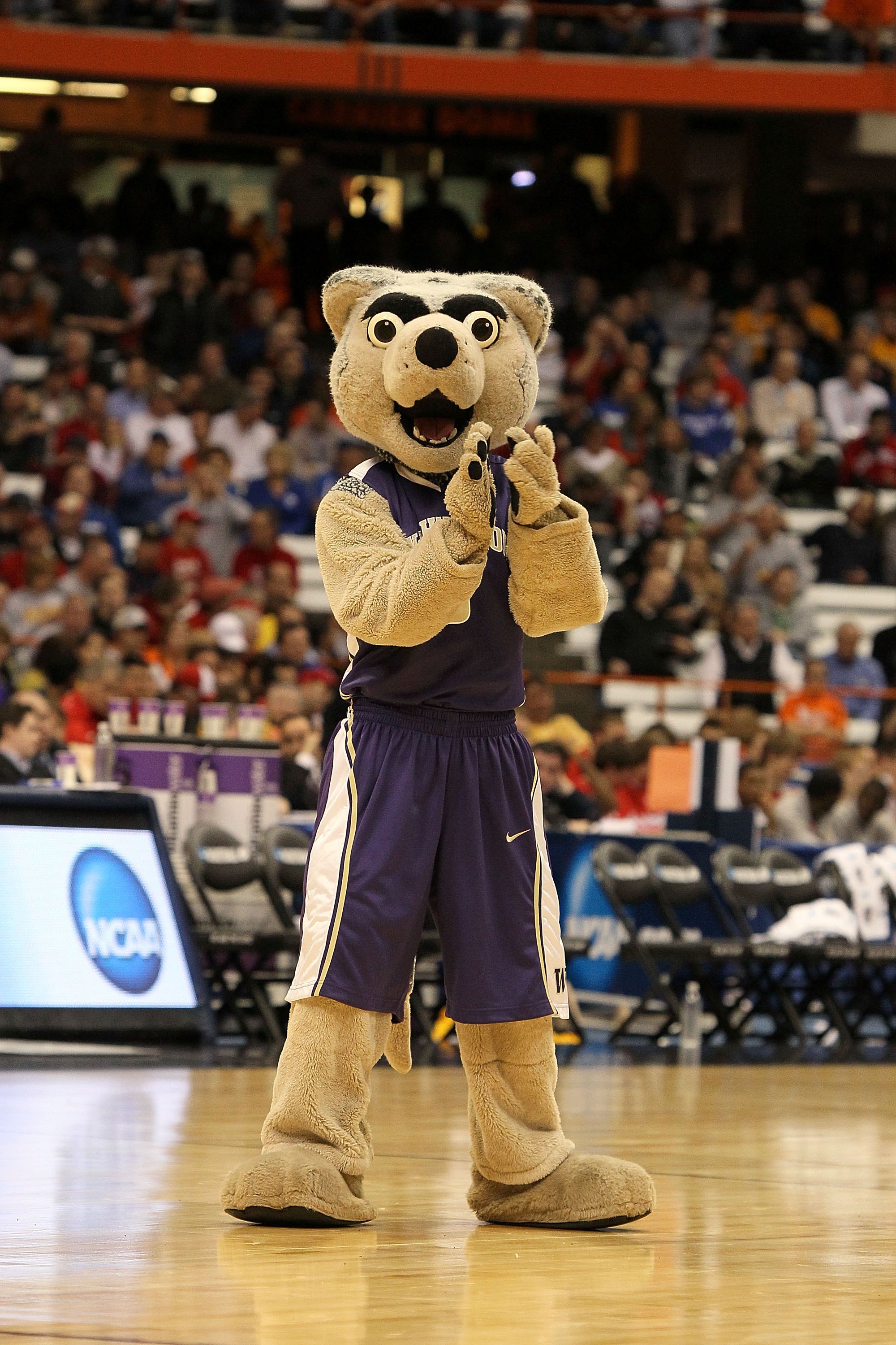 SYRACUSE, NY - MARCH 25: The mascot for the Washington Huskies performs against the West Virginia Mountaineers during the east regional semifinal of the 2010 NCAA men's basketball tournament at the Carrier Dome on March 25, 2010 in Syracuse, New York. (