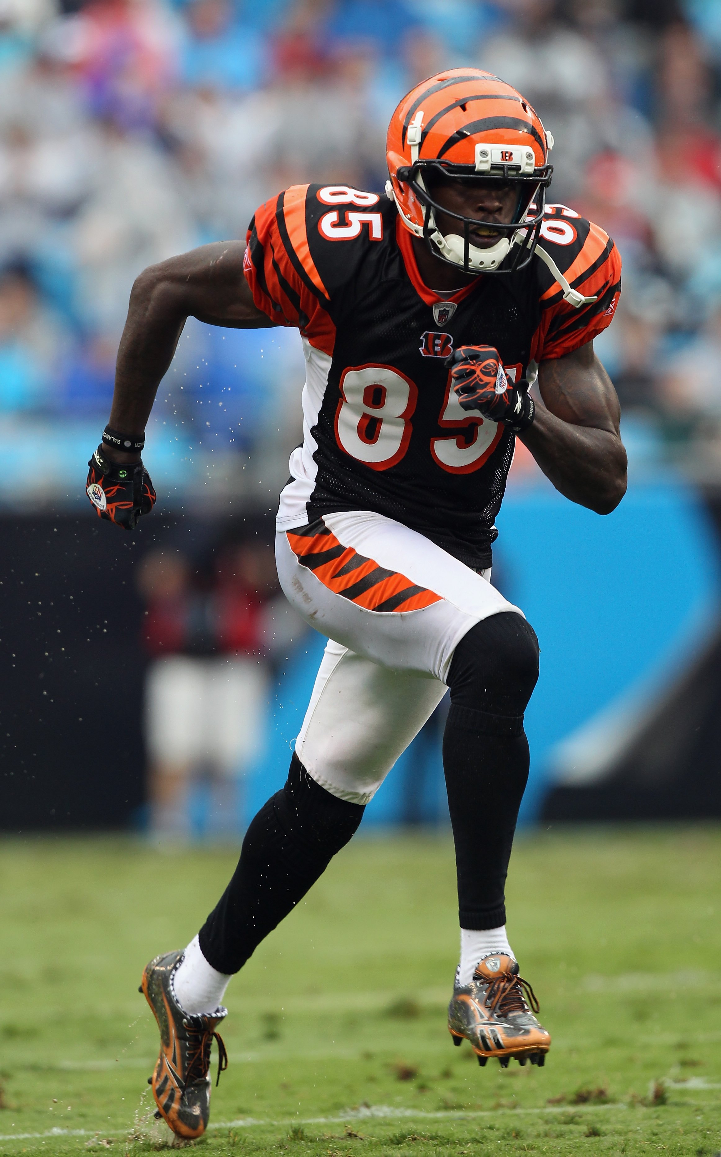 NFL world reacts to Chad Ochocinco, Bengals news