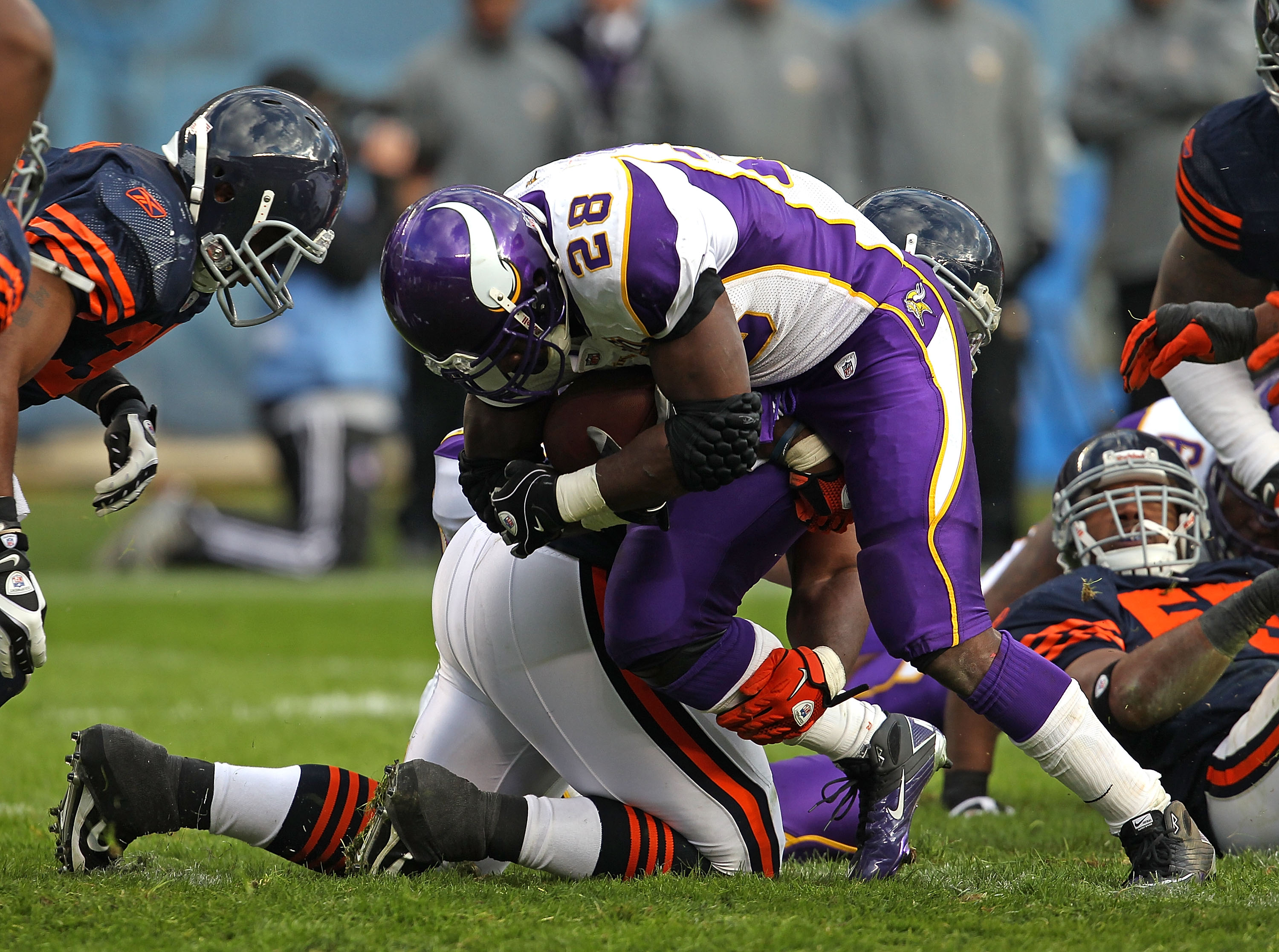 Photo gallery: Vikings vs. Bears (Nov. 14, 2010)