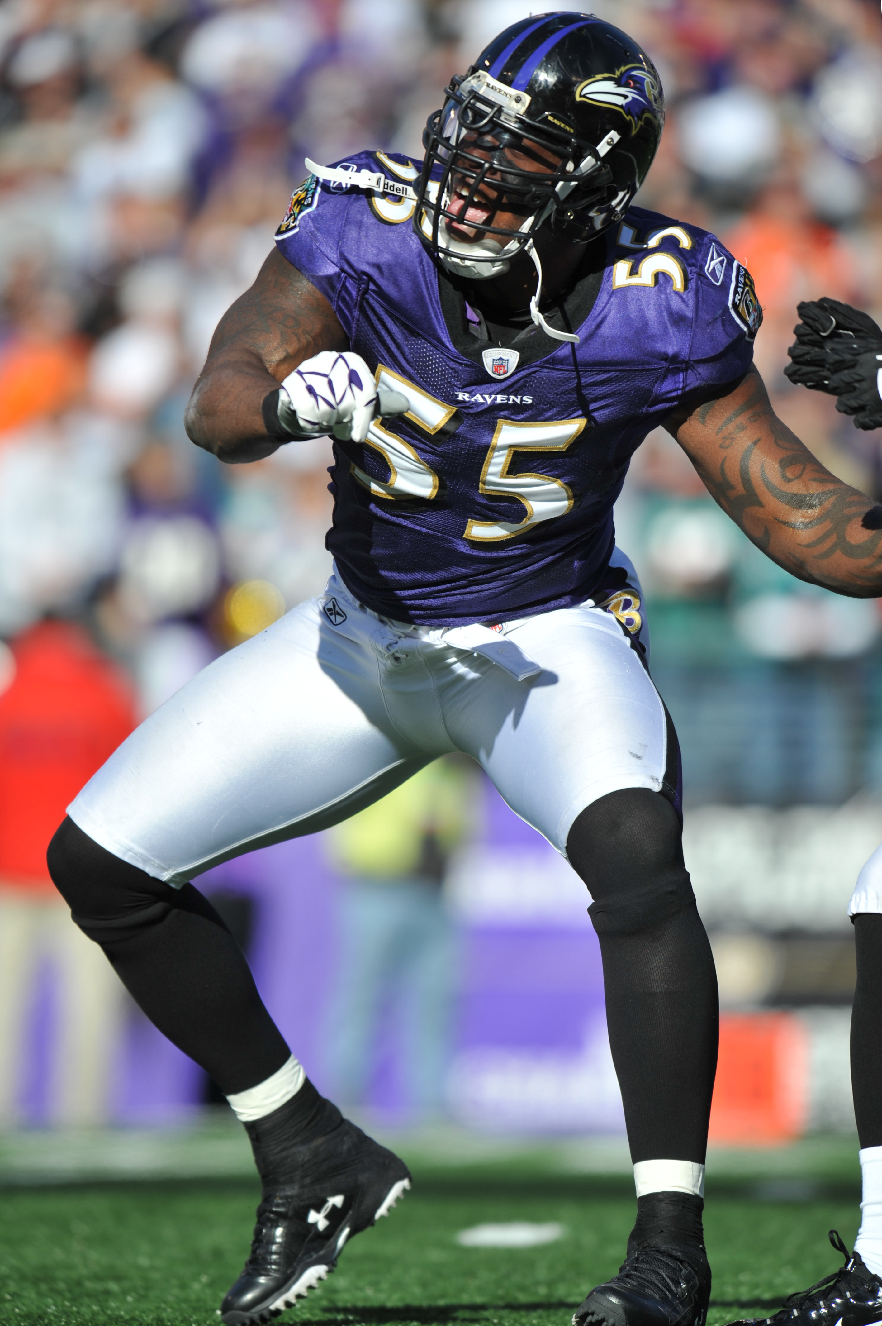 Baltimore Ravens: 10 Reasons They Are the AFC's Team To Beat