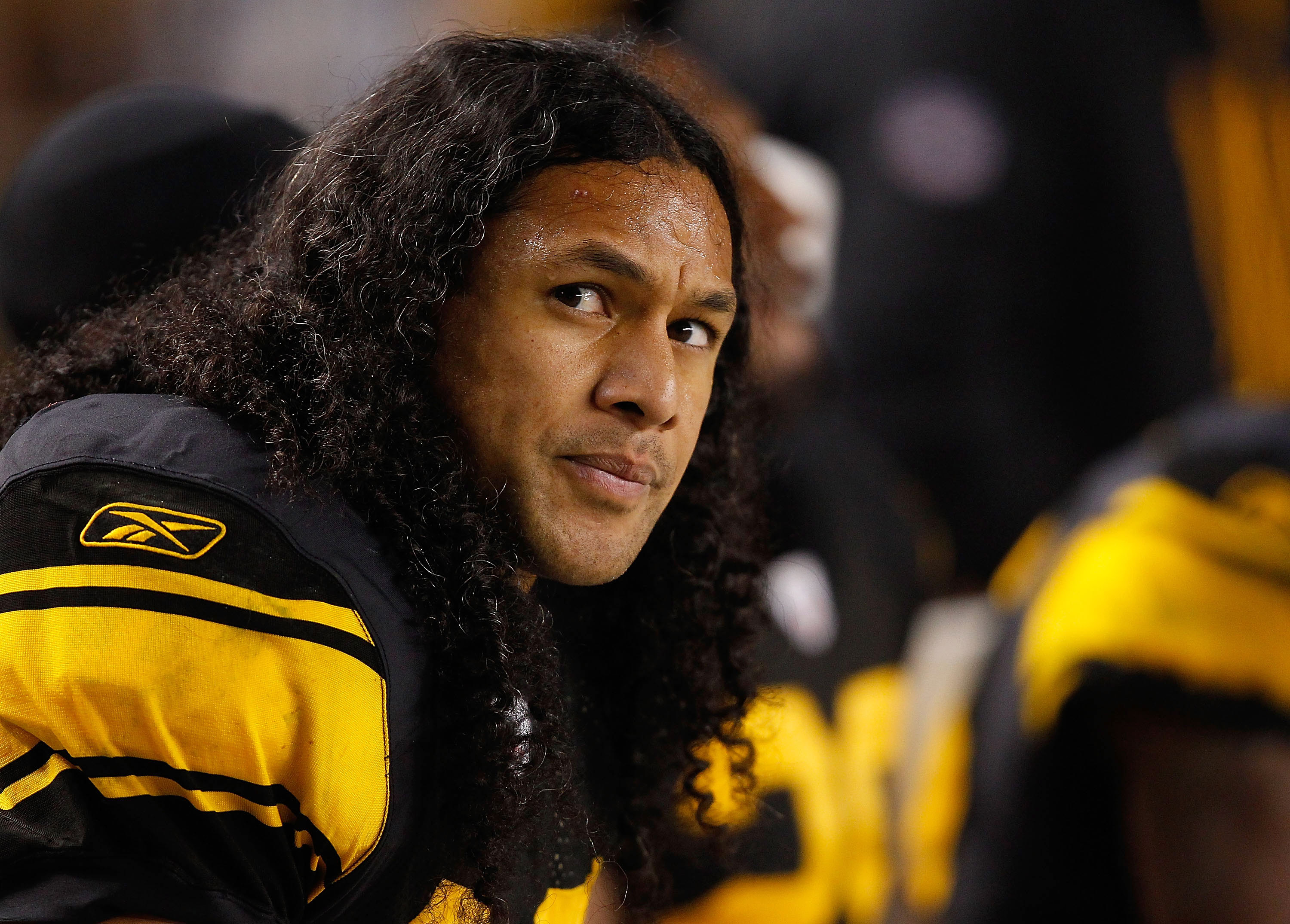 PITTSBURGH - NOVEMBER 14:  Troy Polamalu #43 of the Pittsburgh Steelers watches the game against the New England Patriots from the bench during the game on November 14, 2010 at Heinz Field in Pittsburgh, Pennsylvania.  (Photo by Jared Wickerham/Getty Imag