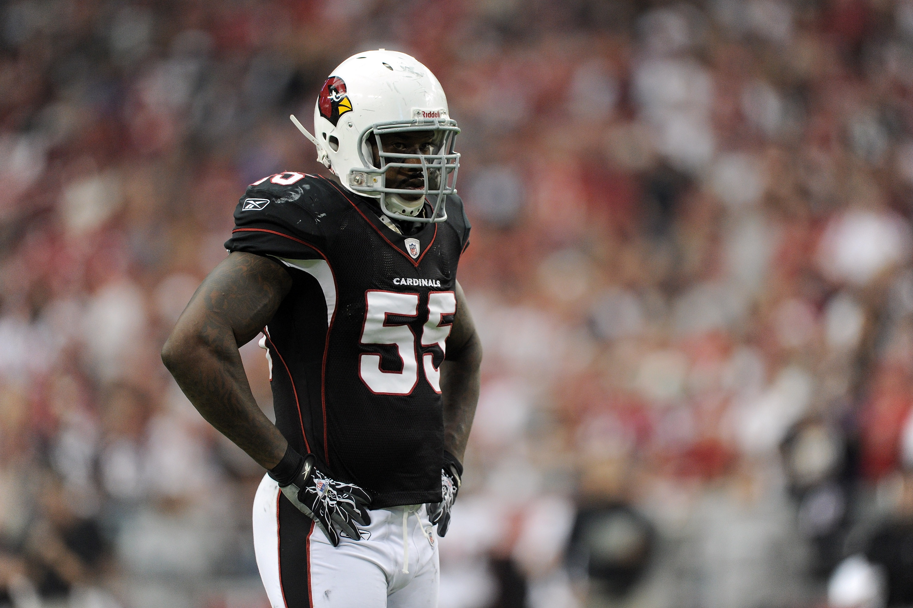 GLENDALE, AZ - OCTOBER 31: Joey Porter #55 of the Arizona Cardinals waits at the line of scrimmage against the Tampa Bay Buccaneers at University of Phoenix Stadium on October 31, 2010 in Glendale, Arizona. (Photo by Harry How/Getty Images)