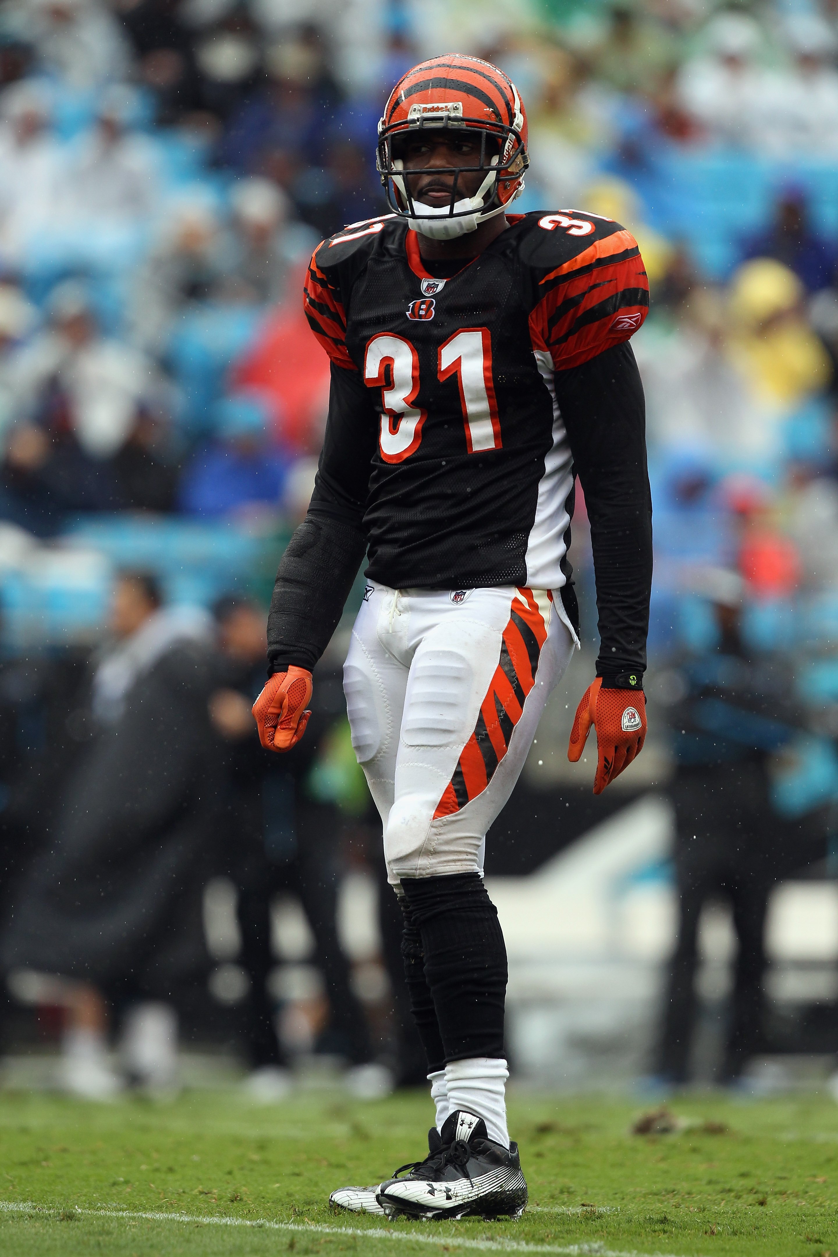 CHARLOTTE, NC - SEPTEMBER 26: Roy L. Williams #31 of the Cincinnati Bengals against the Carolina Panthers during their game at Bank of America Stadium on September 26, 2010 in Charlotte, North Carolina. (Photo by Streeter Lecka/Getty Images)