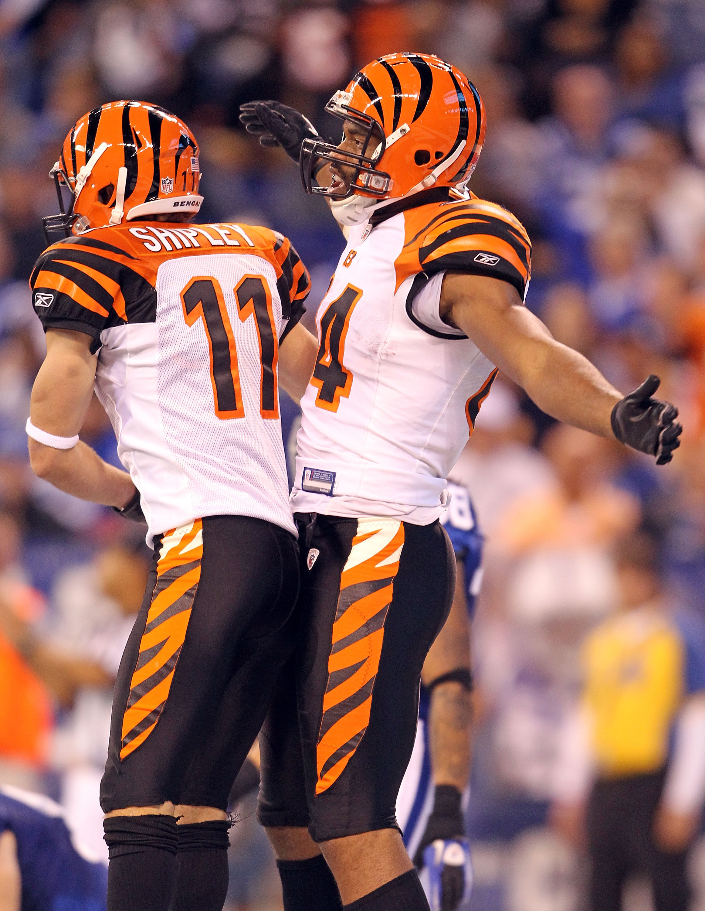 Cincinnati Bengals 2010: A Few Bright Spots In Season Full Of