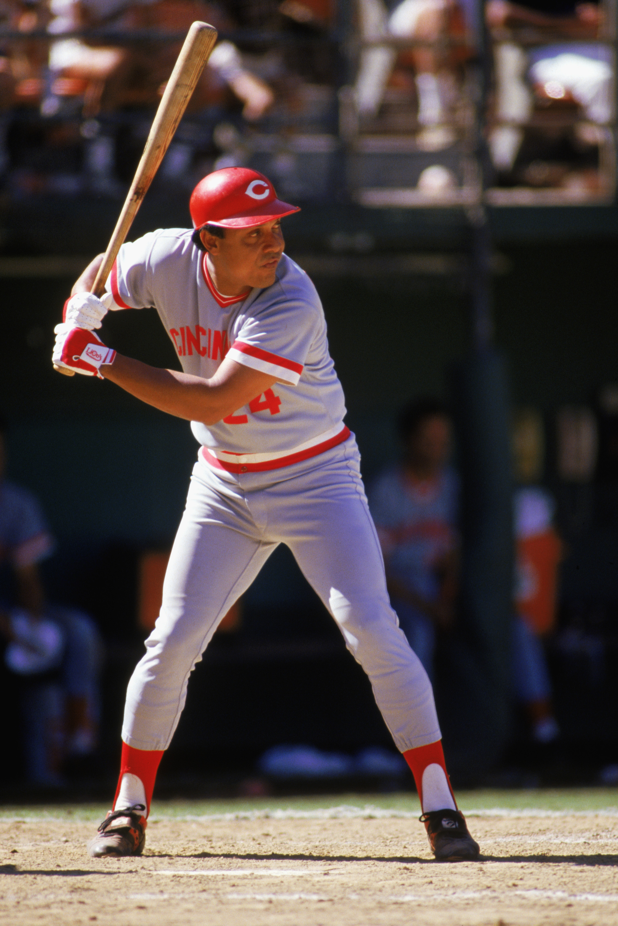 794 Anaheim Angels David Eckstein Photos & High Res Pictures - Getty Images