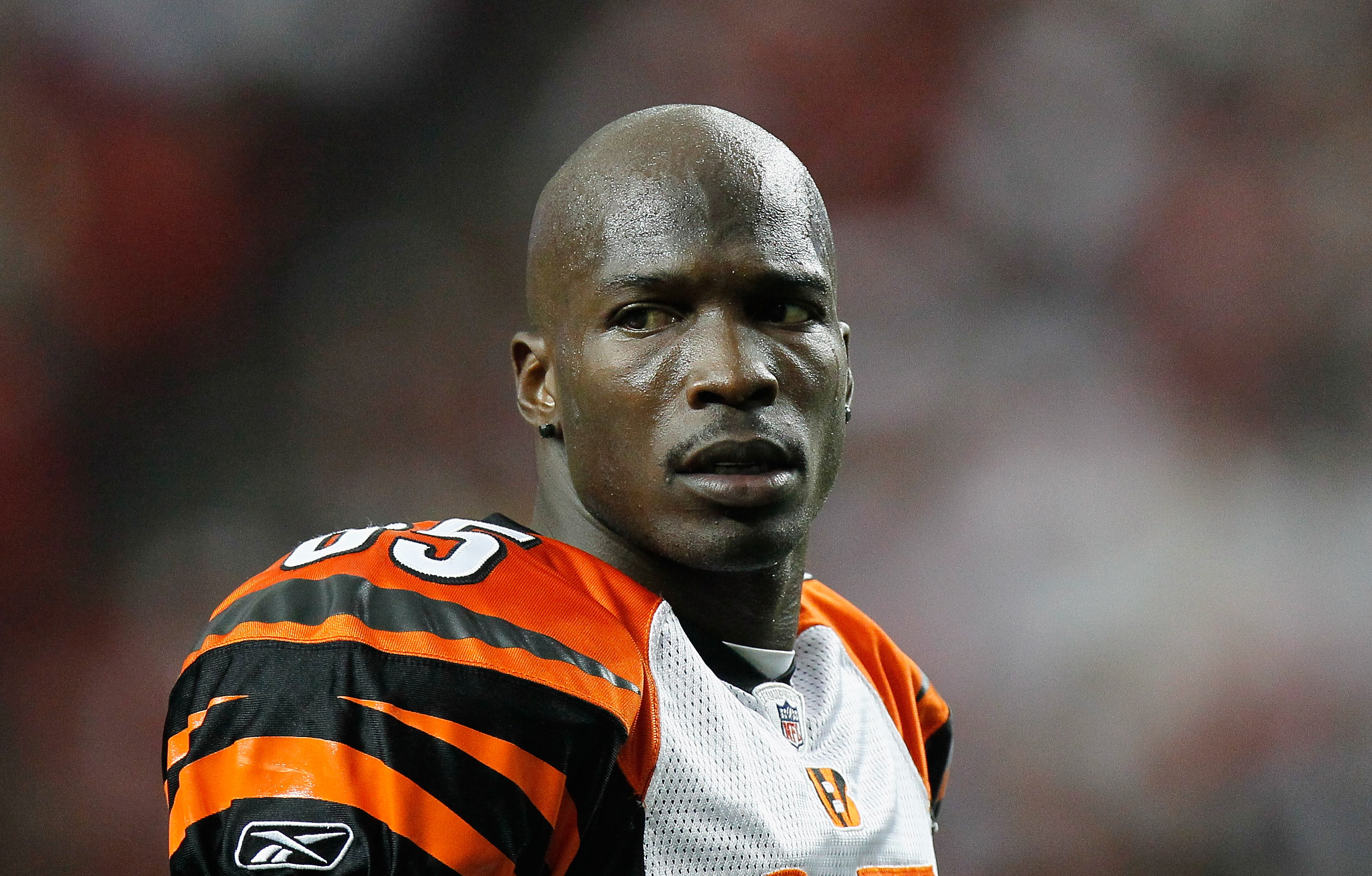 Chad Ochocinco: PETA Ad Latest Sign He's More Celeb Than NFL Star Now ...