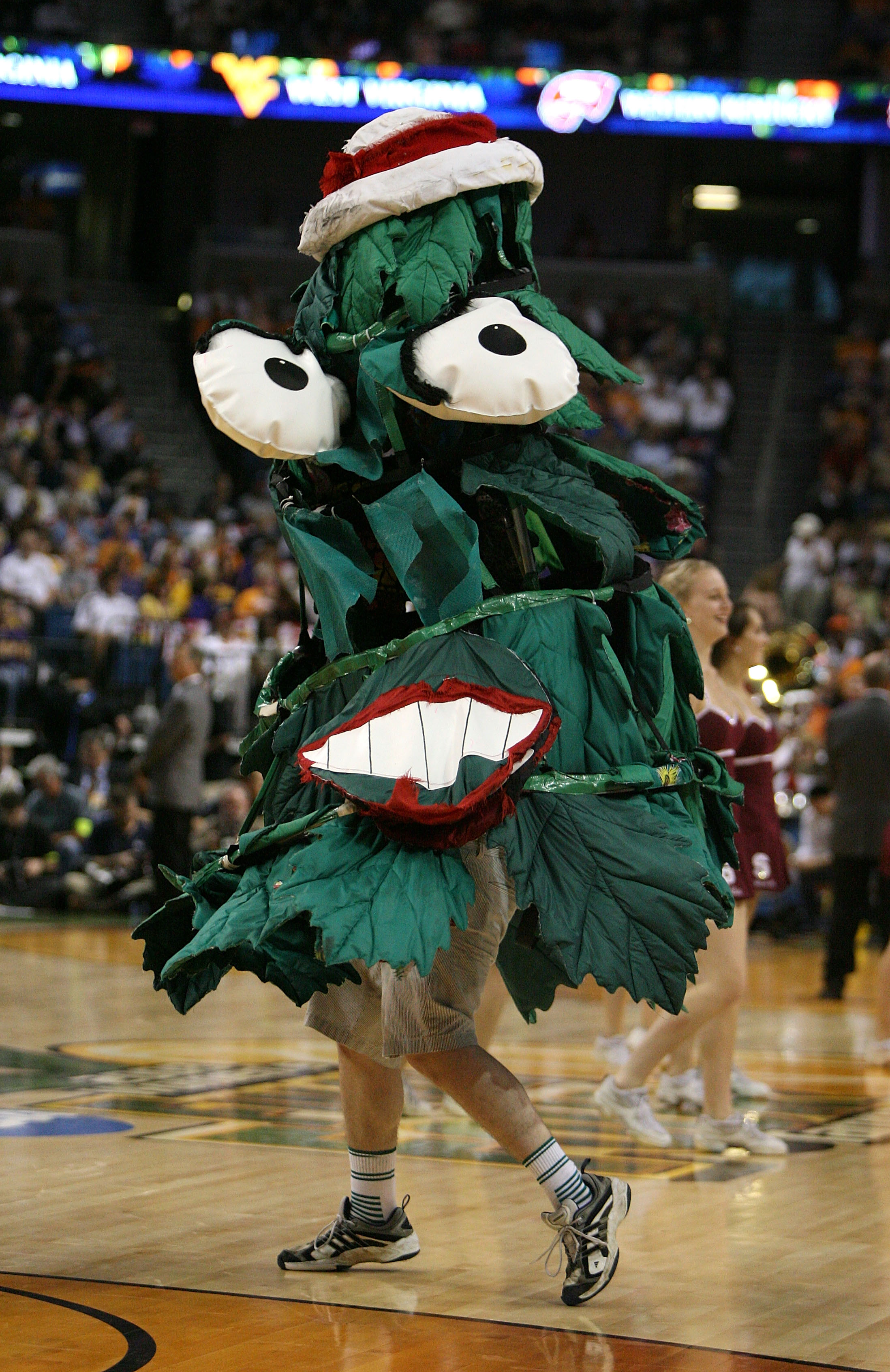TAMPA, FL - APRIL 06: The mascot for the Stanford Cardinal performs against the UCONN Huskies during their National Semifinal Game of the 2008 NCAA Women's Final Four at St. Pete Times Forum April 6, 2008 in Tampa, Florida. (Photo by Doug Benc/Getty Ima