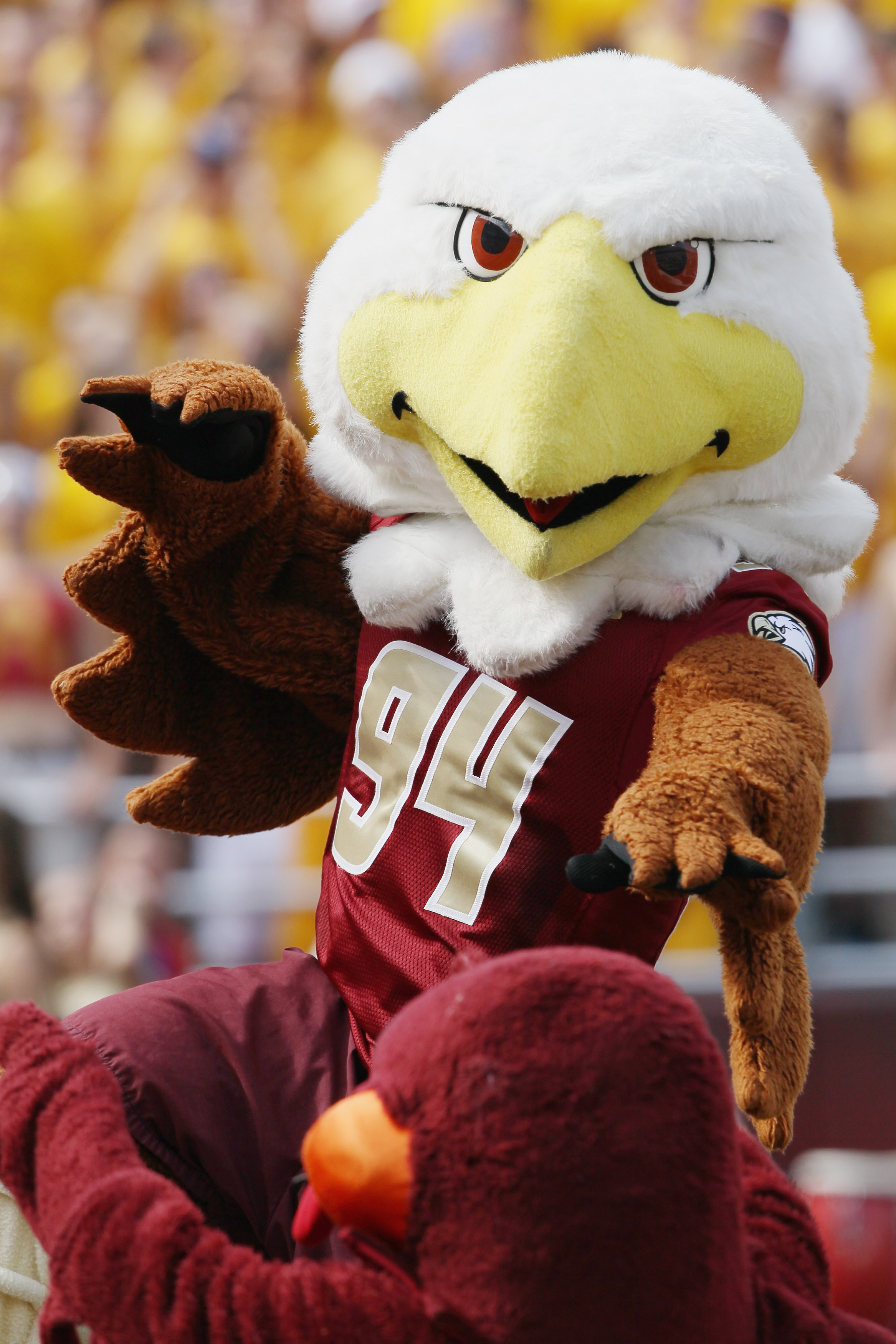 CHESTNUT HILL, MA - SEPTEMBER 25: The Boston College Eagles mascot and the Virginia Tech Hokies mascot square off on September 25, 2010 at Alumni Stadium in Chestnut Hill, Massachusetts. (Photo by Elsa/Getty Images)