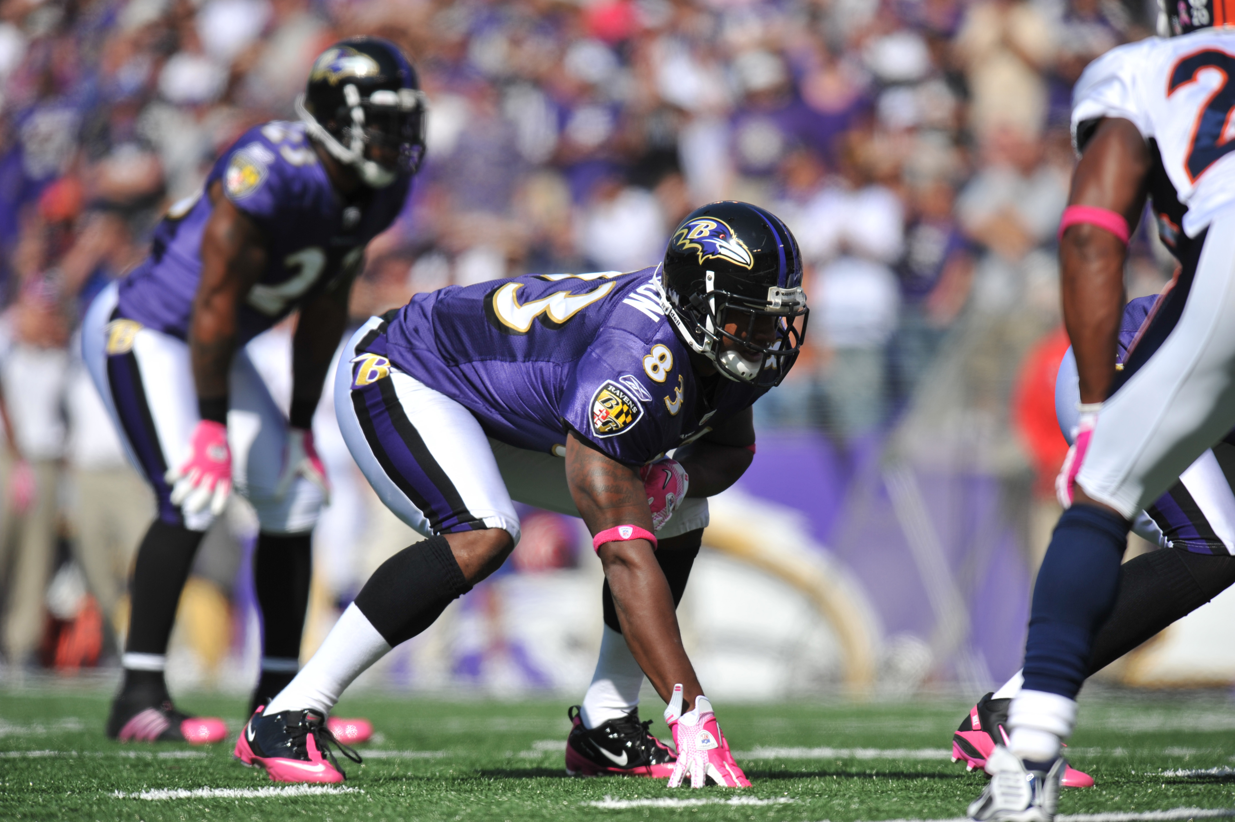 Tight end Ed Dickson of the Baltimore Ravens runs with the football News  Photo - Getty Images