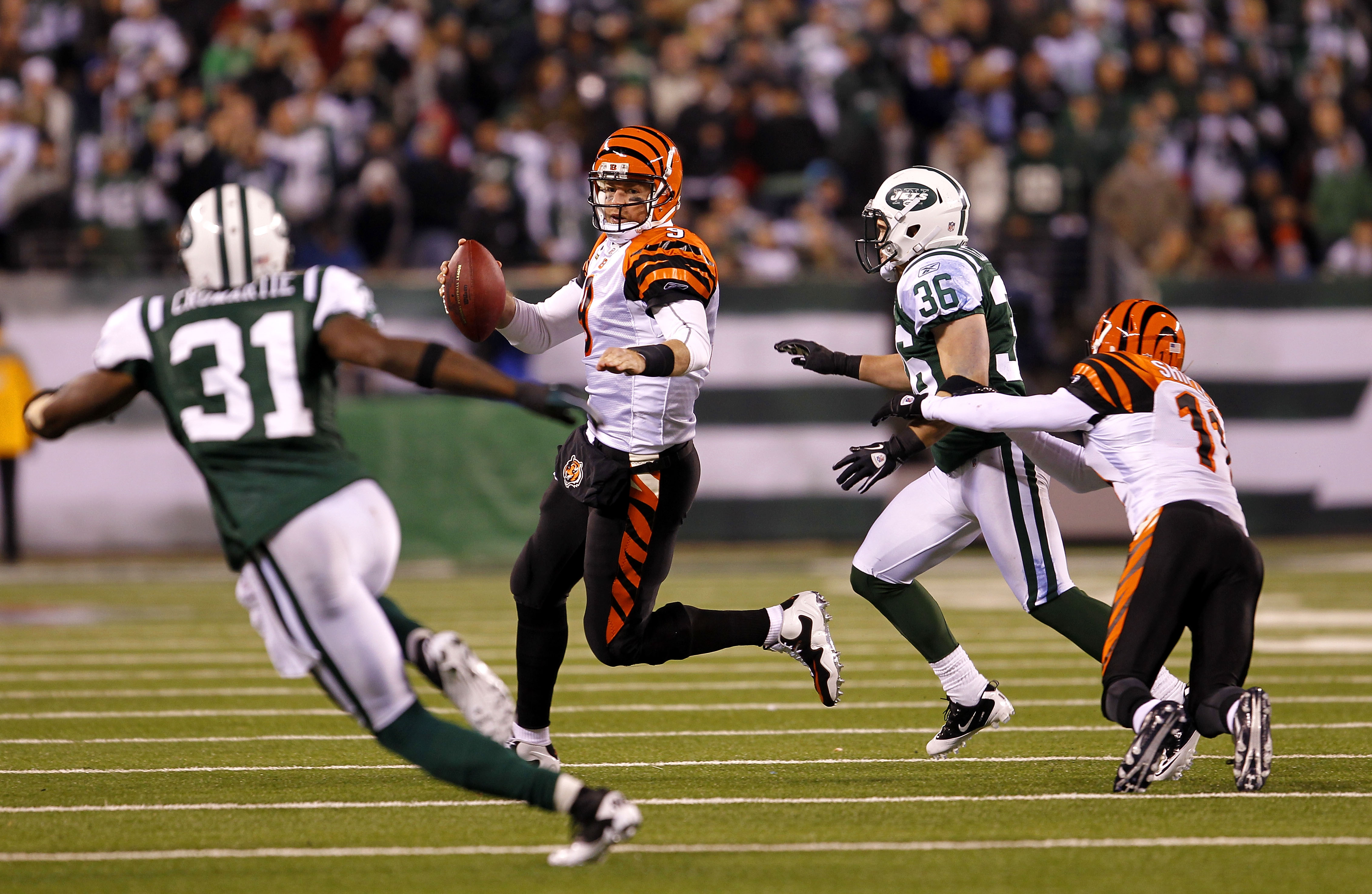 August 8, 2010:Cincinnati Bengals QB Carson Palmer (#9) during the second  session of the Bengals Training Camp in Georgetown Kentucky. (Credit Image:  © John Longo/Southcreek Global/ZUMApress.com Stock Photo - Alamy