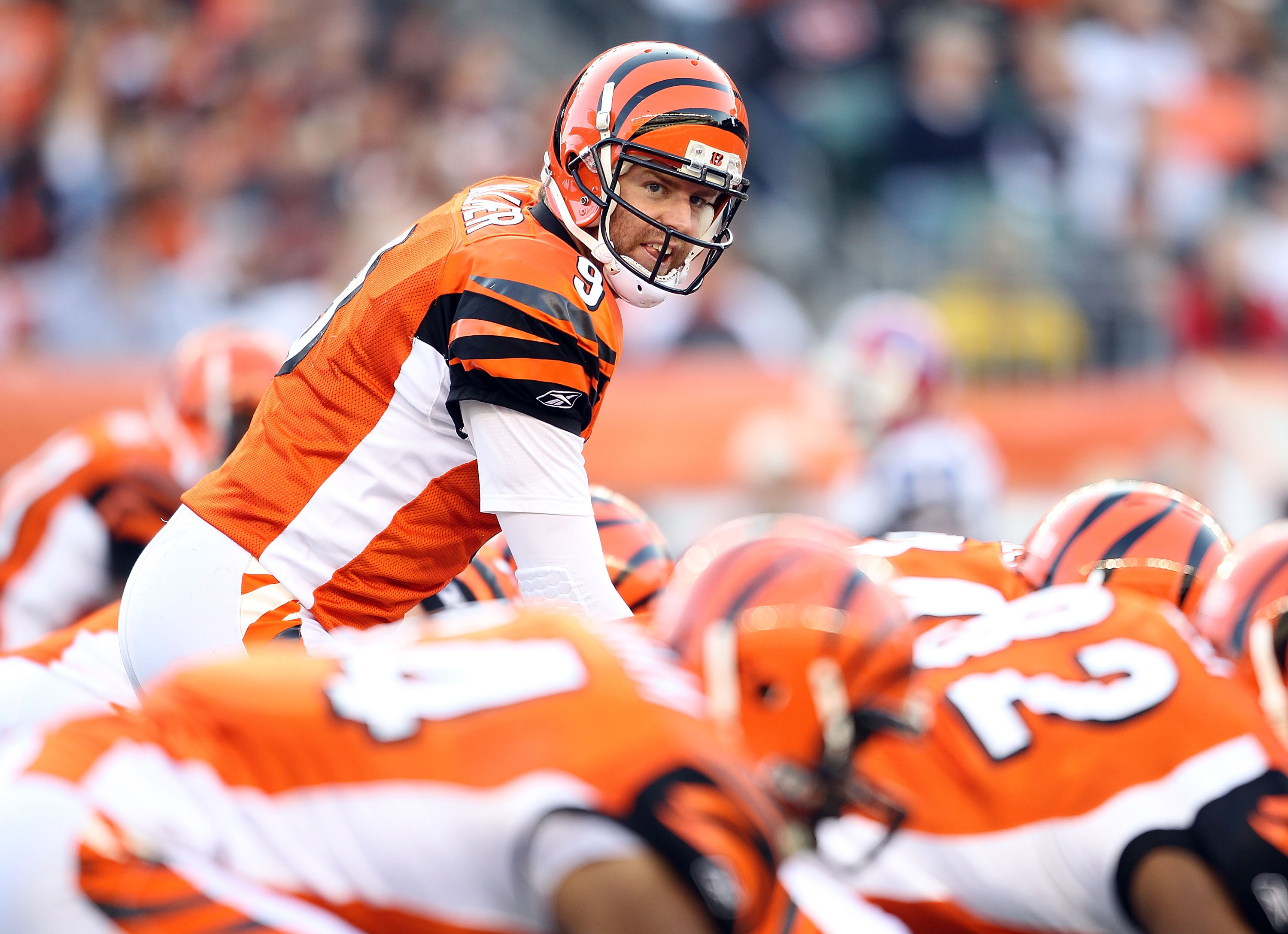 Bengals making the right decision with Palmer? - National Football