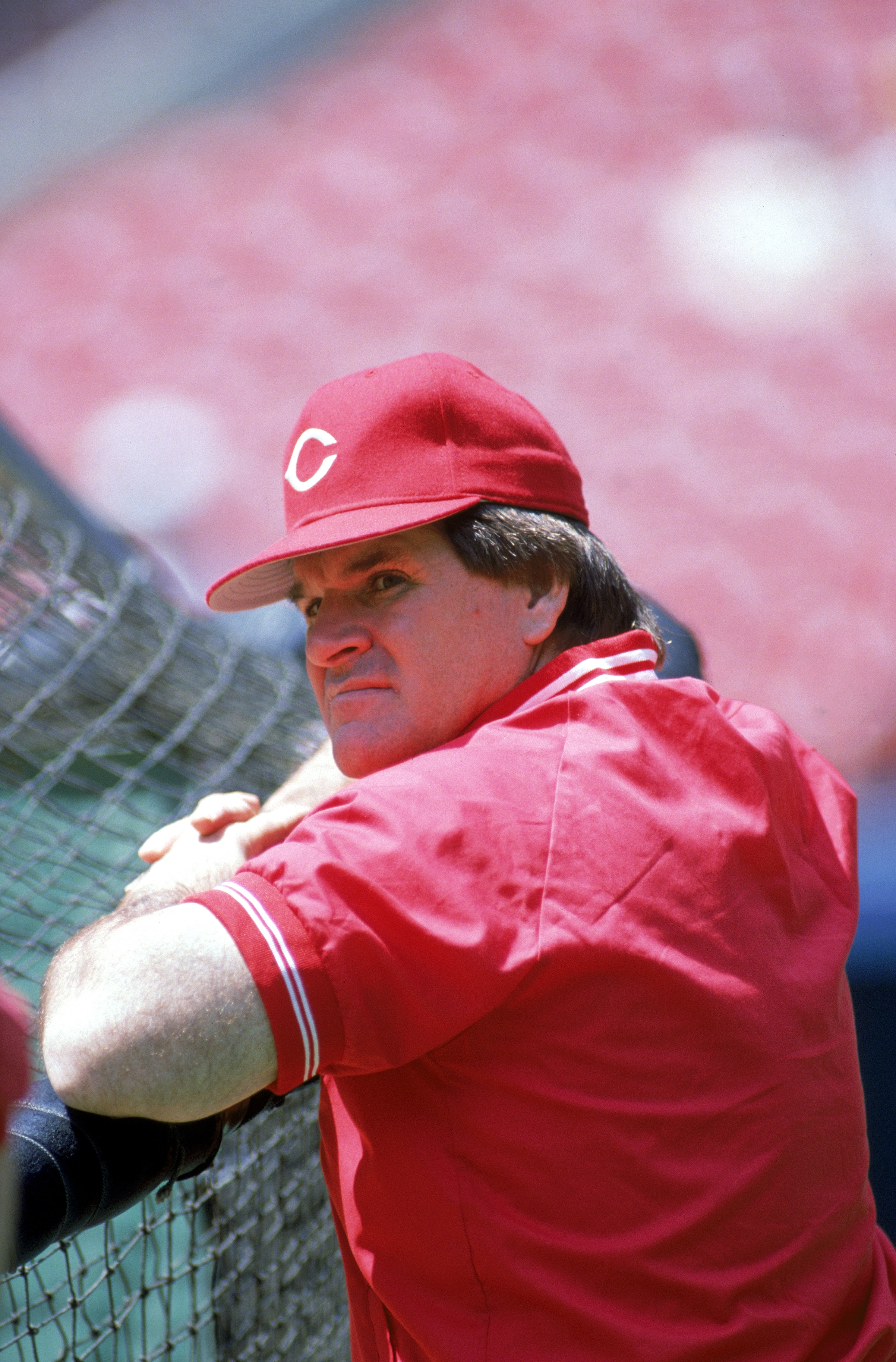 PETE ROSE Photo in action Cincinnati Reds #2 copyright