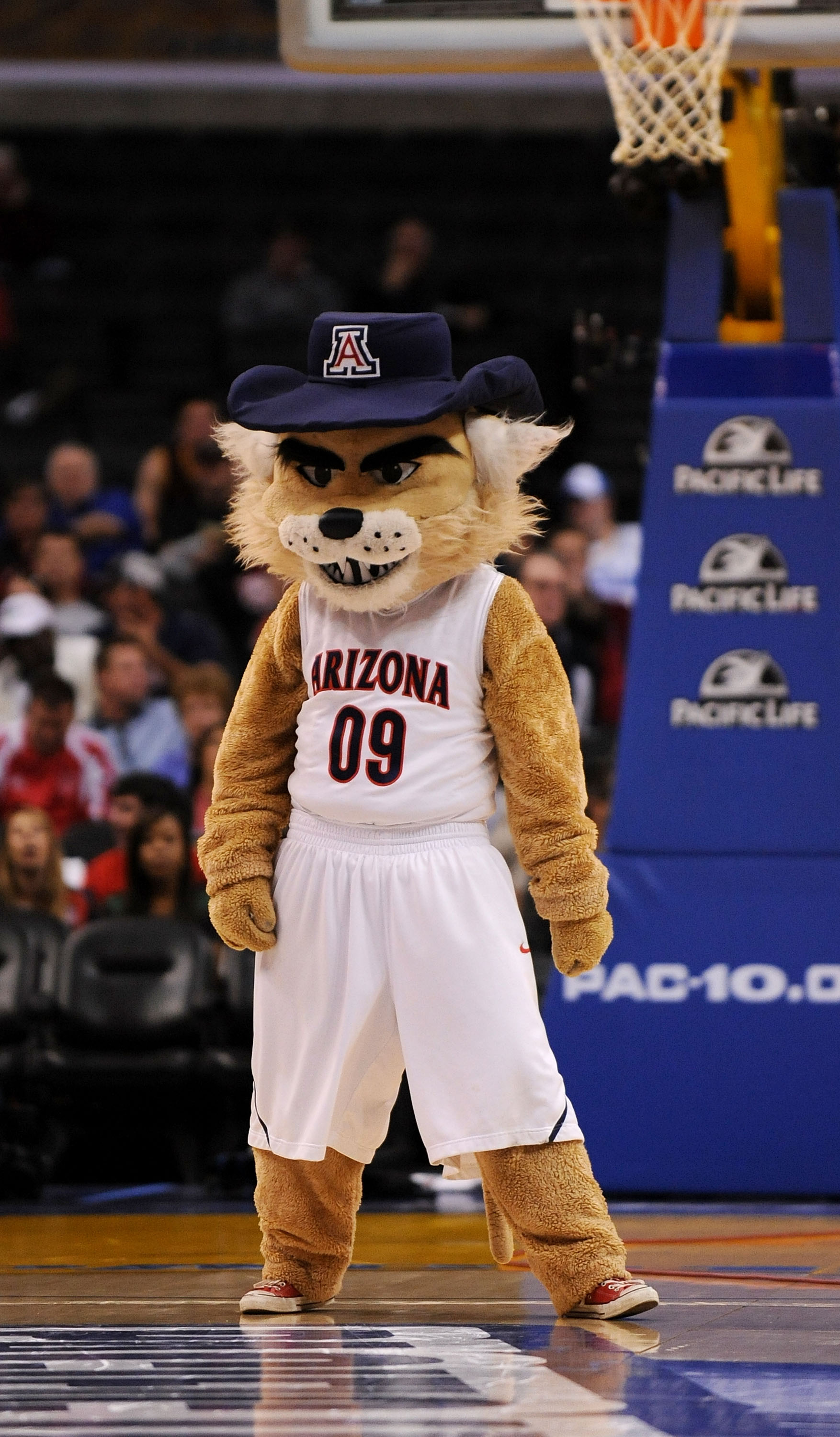 LOS ANGELES, CA - MARCH 12:  Arizona Wildcats mascot Wilbur T. Wildcat during the Pacific Life Pac-10 Men's Basketball Tournament at the Staples Center on March 12, 2009 in Los Angeles, California.  (Photo by Harry How/Getty Images)