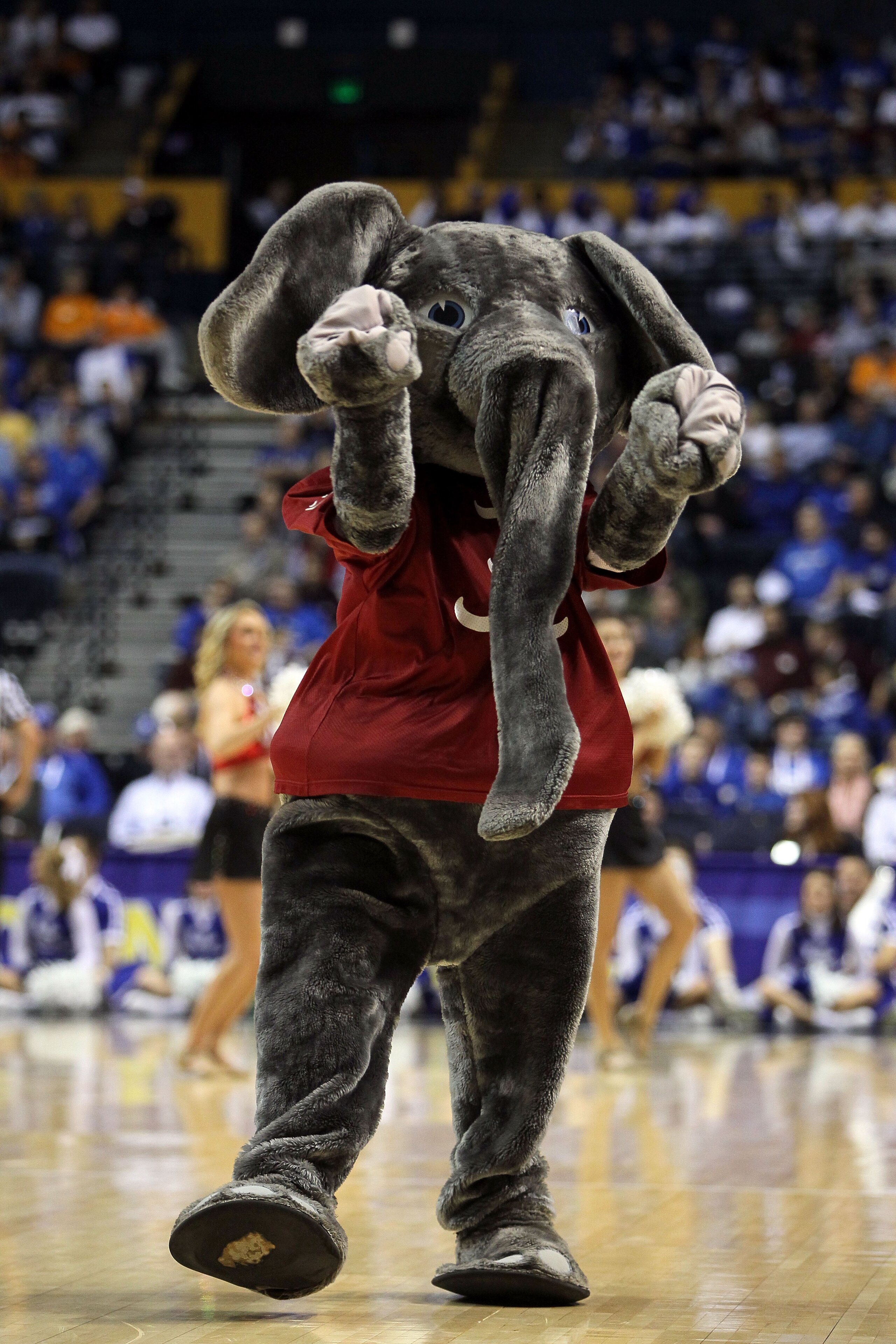 NASHVILLE, TN - MARCH 12: Big Al, the mascot from the Alabama Crimson Tide, performs against the Kentucky Wildcats during the quarterfinals of the SEC Men's Basketball Tournament at the Bridgestone Arena on March 12, 2010 in Nashville, Tennessee. (Photo NASHVILLE, TN - MARCH 12: Big Al, the mascot from the Alabama Crimson Tide, performs against the Kentucky Wildcats during the quarterfinals of the SEC Men's Basketball Tournament at the Bridgestone Arena on March 12, 2010 in Nashville, Tennessee. (Photo