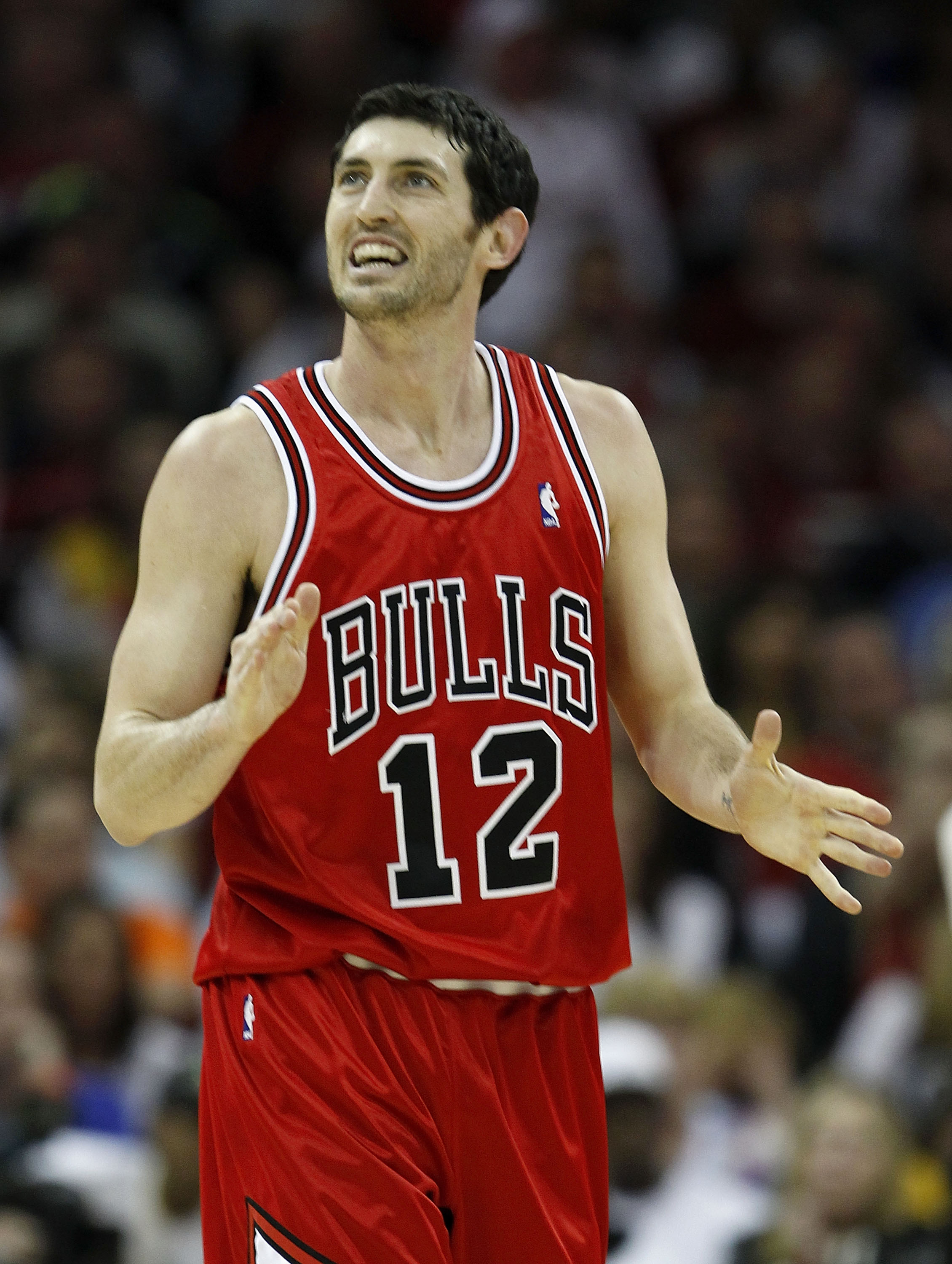 number 12 chicago bulls off 50% - www 