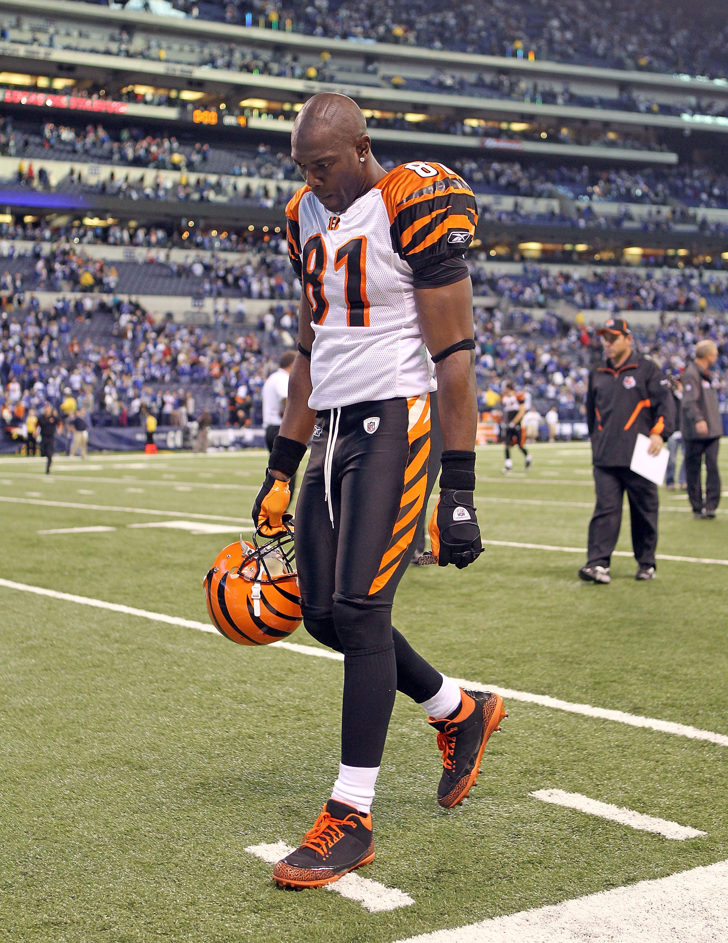 Terrell Owens, Cincinnati Bengals, Out for Season on Fantasy NFL Week 16  Fallers, News, Scores, Highlights, Stats, and Rumors