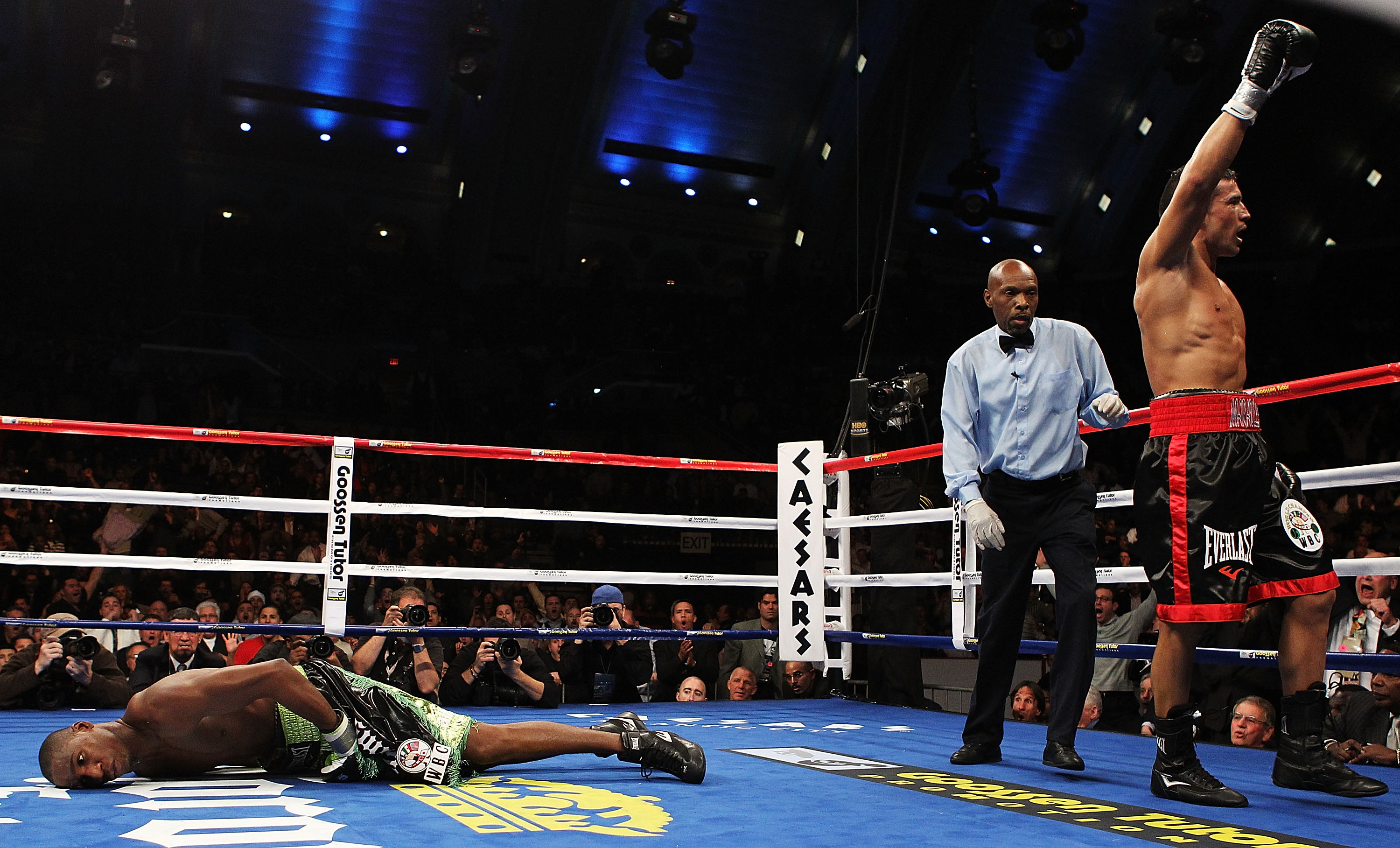 ATLANTIC CITY, NJ - NOVEMBER 20: Sergio Martinez celebrates after knocking out Paul Williams in the second round of their Middleweight Championship fight on November 20, 2010 at The Boardwalk Hall in Atlantic City, New Jersey. (Photo by Al Bello/Getty I