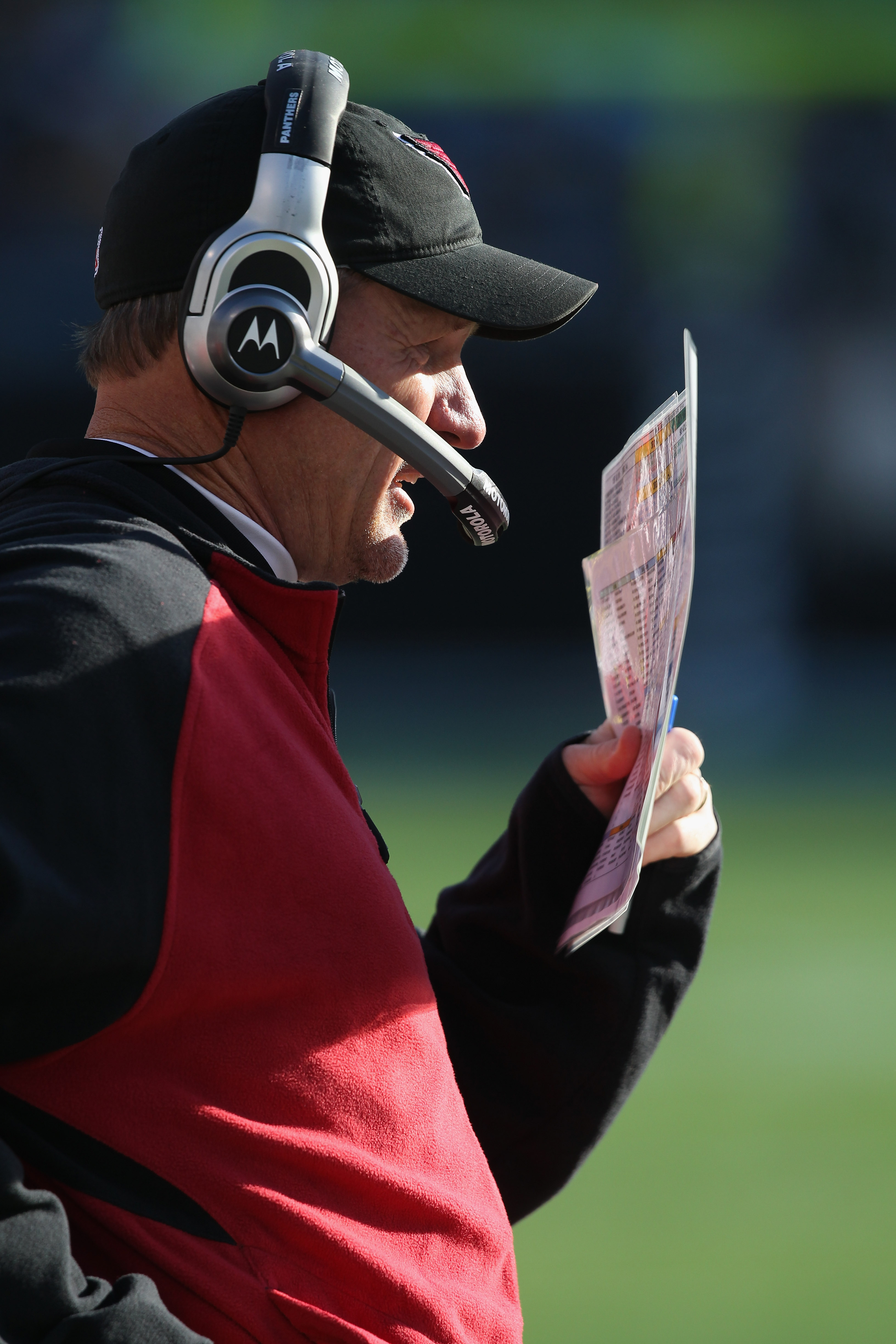 It's Official: John Skelton Is The Starting Quarterback for the Arizona  Cardinals - Revenge of the Birds