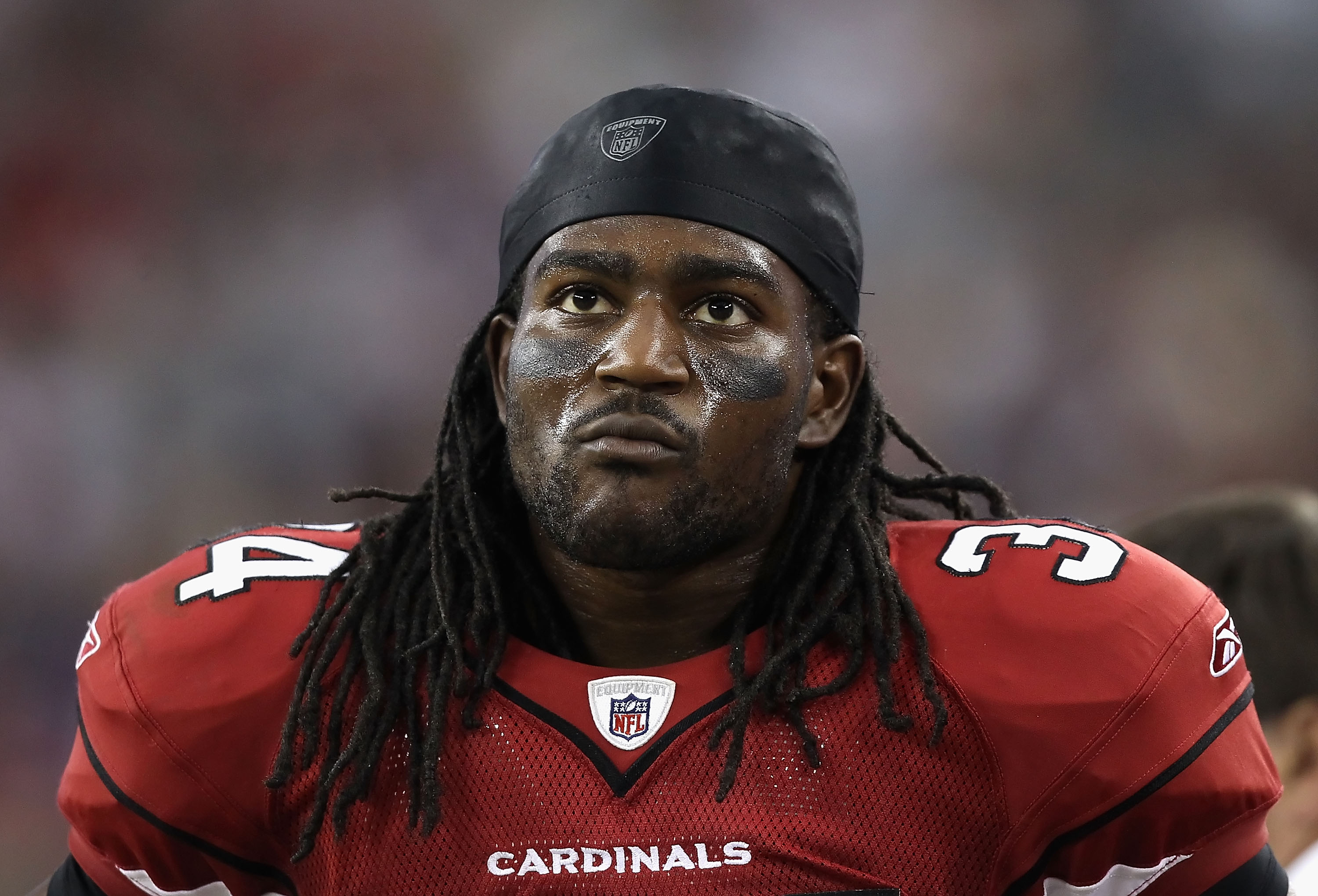 Arizona Cardinals 2010 Season in Review: The Good, the Bad and the