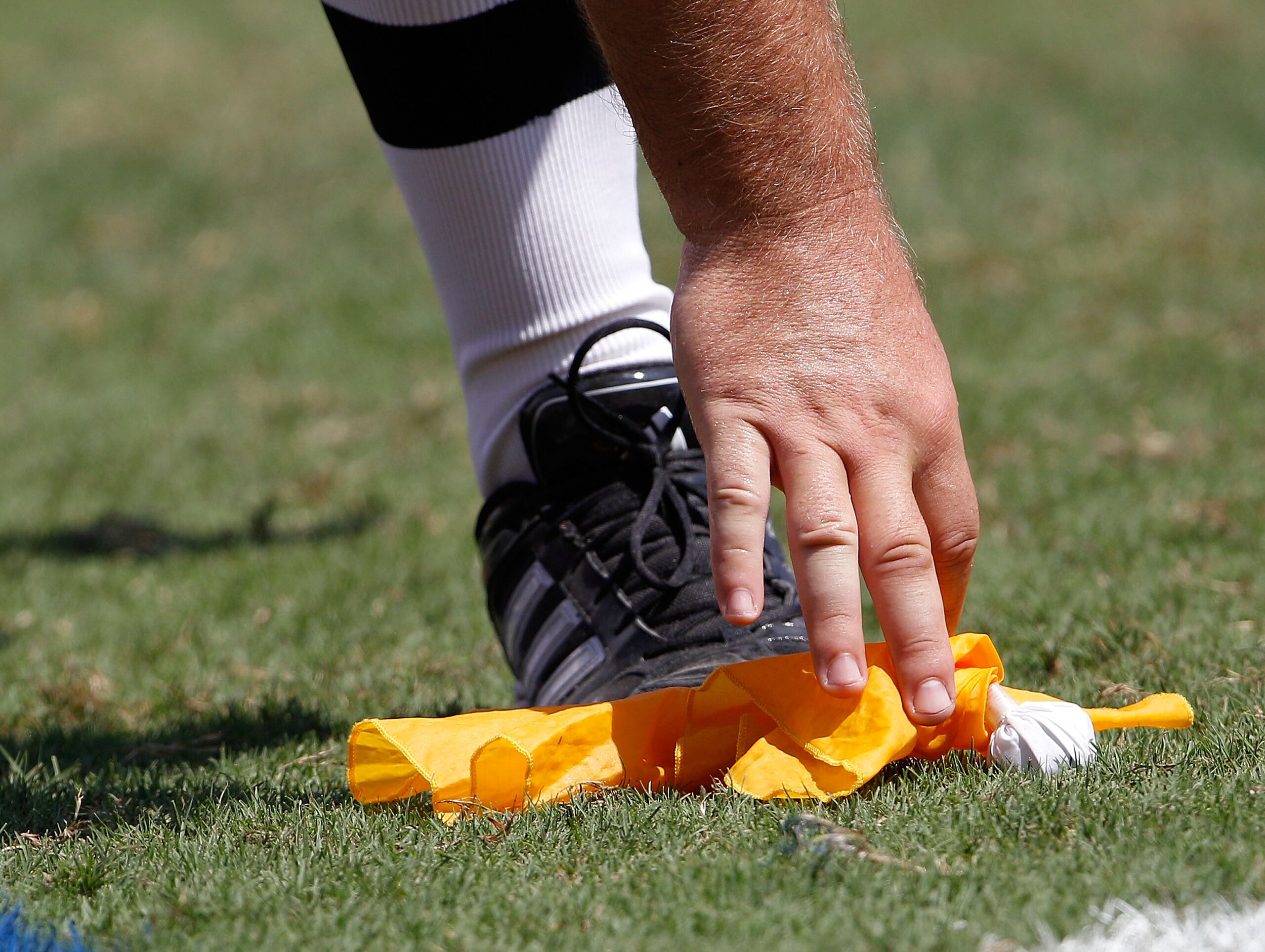 GAINESVILLE, FL - SEPTEMBER 11:   A penalty flag is picked up during a game between the South Florida Bulls and the Florida Gators at Ben Hill Griffin Stadium on September 11, 2010 in Gainesville, Florida.  (Photo by Sam Greenwood/Getty Images)