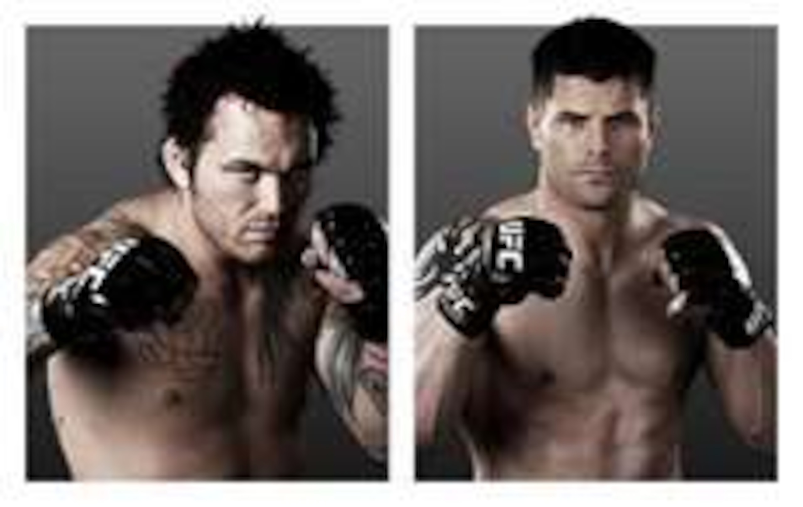 Chris Leben vs. Brian Stann