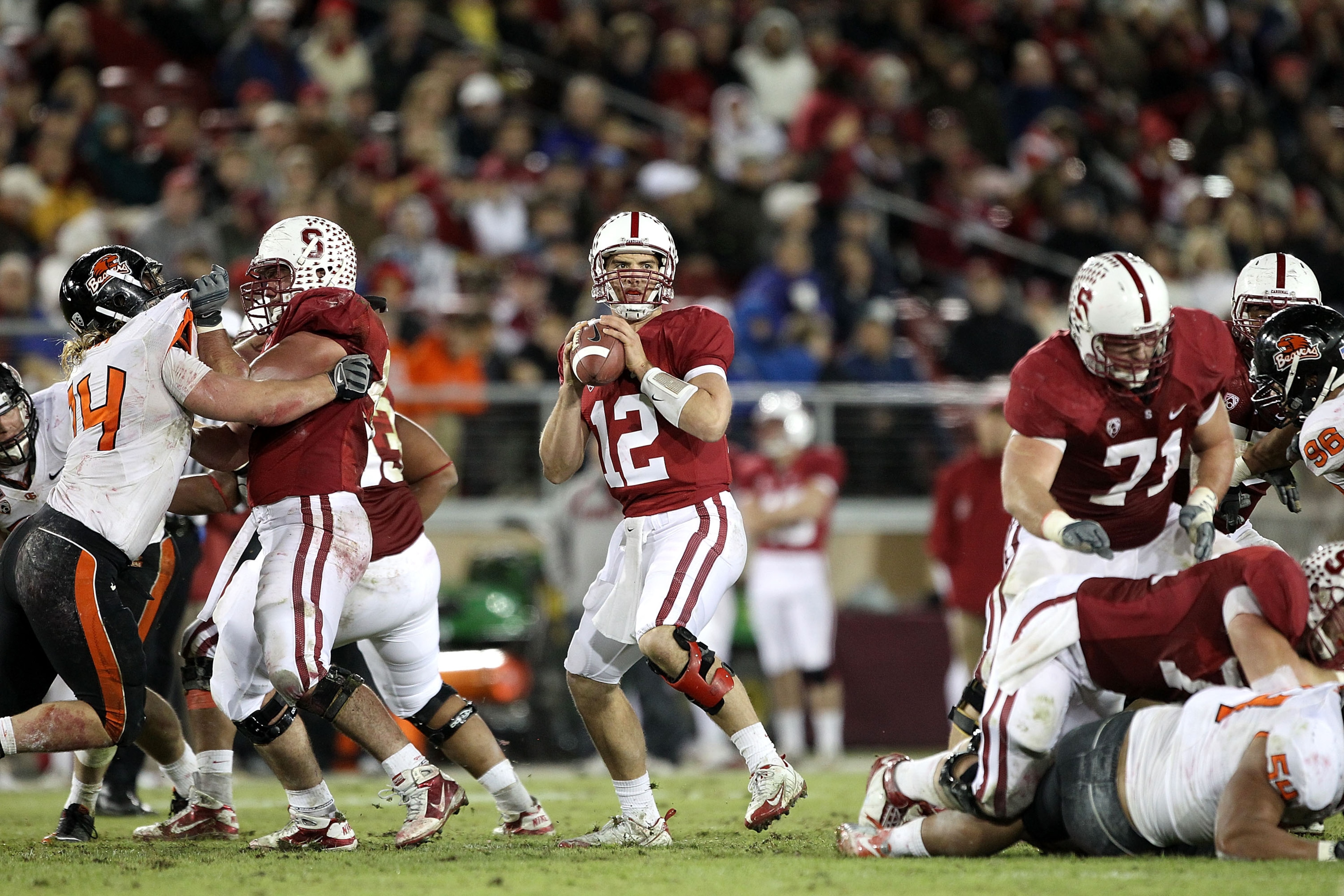 PALO ALTO, CA - NOVEMBER 27: Andrew Luck #12 of the Stanford Cardinal in action against the Oregon State Beavers at Stanford Stadium on November 27, 2010 in Palo Alto, California. (Photo by Ezra Shaw/Getty Images) PALO ALTO, CA - NOVEMBER 27: Andrew Luck #12 of the Stanford Cardinal in action against the Oregon State Beavers at Stanford Stadium on November 27, 2010 in Palo Alto, California. (Photo by Ezra Shaw/Getty Images)
