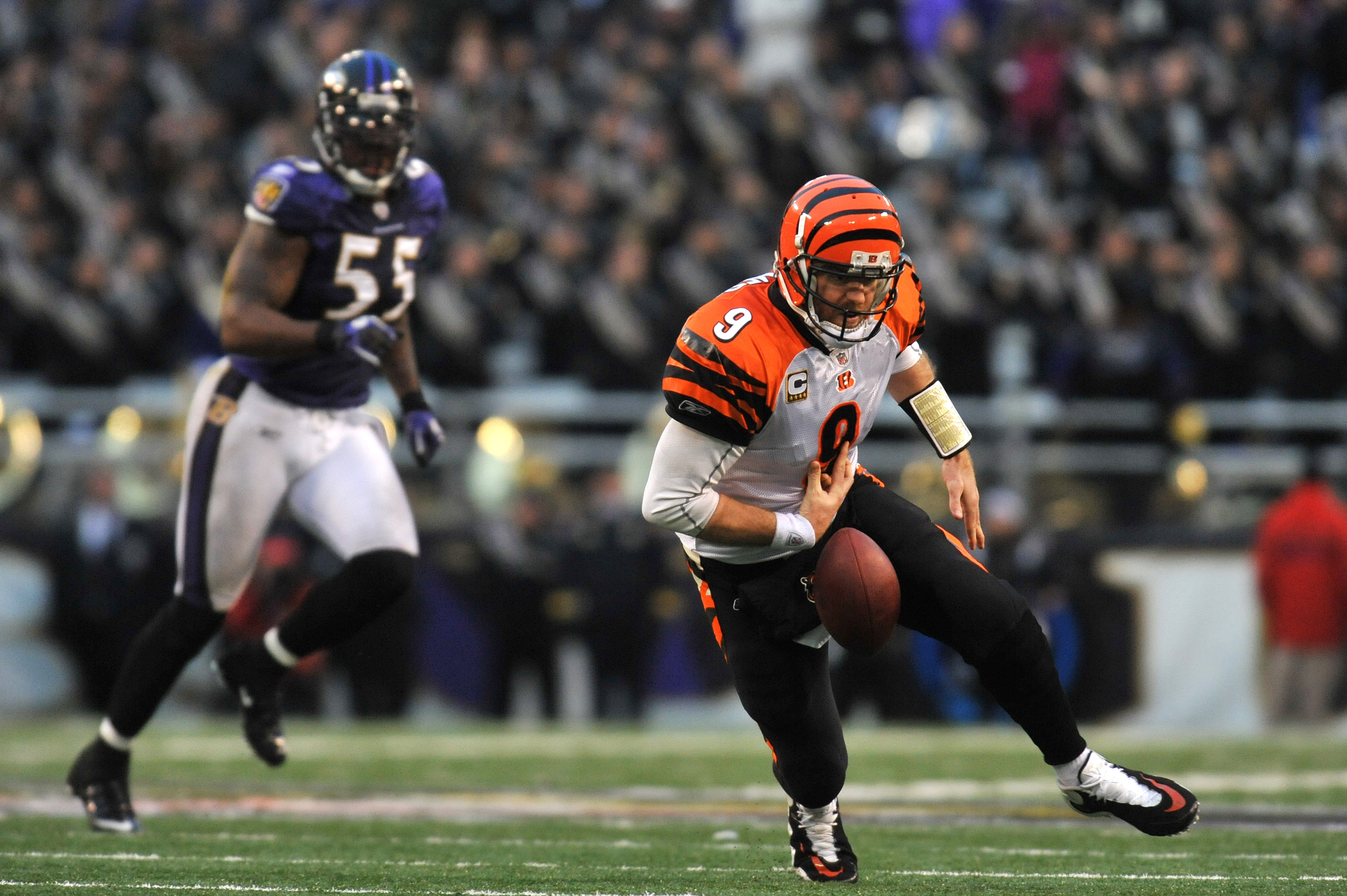 Cincinnati Bengals wide receiver Terrell Owens (81) warms up prior to an  NFL football game against the Cleveland Browns, Sunday, Dec. 19, 2010, in  Cincinnati. (AP Photo/Al Behrman Stock Photo - Alamy