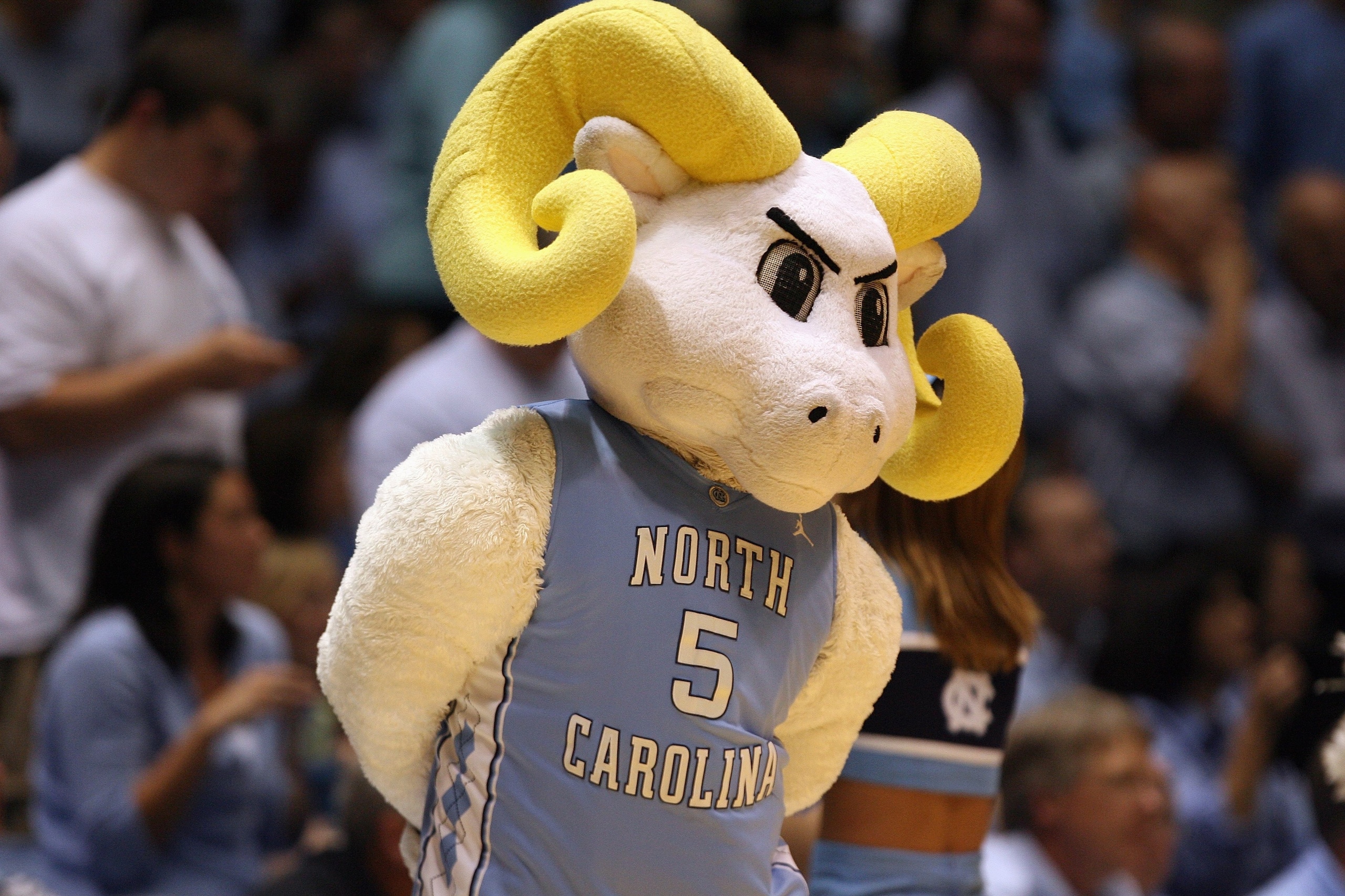 CHAPEL HILL, NC - MARCH 8: The North Carolina Tar Heels mascot Rameses looks on during the game against the Duke Blue Devils at the Dean E. Smith Center on March 8, 2009 in Chapel Hill, North Carolina. (Photo by Streeter Lecka/Getty Images) CHAPEL HILL, NC - MARCH 8: The North Carolina Tar Heels mascot Rameses looks on during the game against the Duke Blue Devils at the Dean E. Smith Center on March 8, 2009 in Chapel Hill, North Carolina. (Photo by Streeter Lecka/Getty Images)