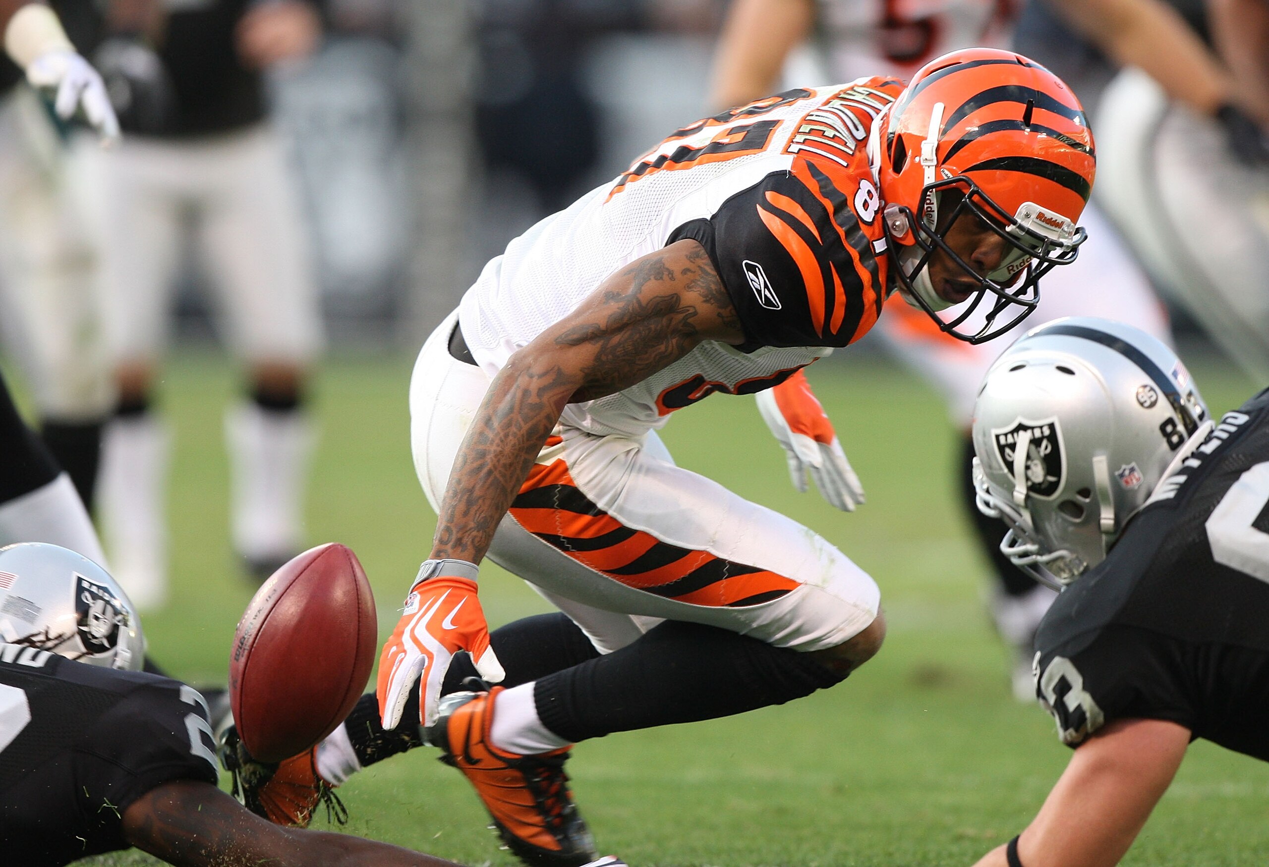 OAKLAND, CA - NOVEMBER 22: Andre Caldwell #87 of the Cincinnati Bengals fumbles the ball on a kick off return in the fourth quarter against the Oakland Raiders during an NFL game at Oakland-Alameda County Coliseum on November 22, 2009 in Oakland, Californ