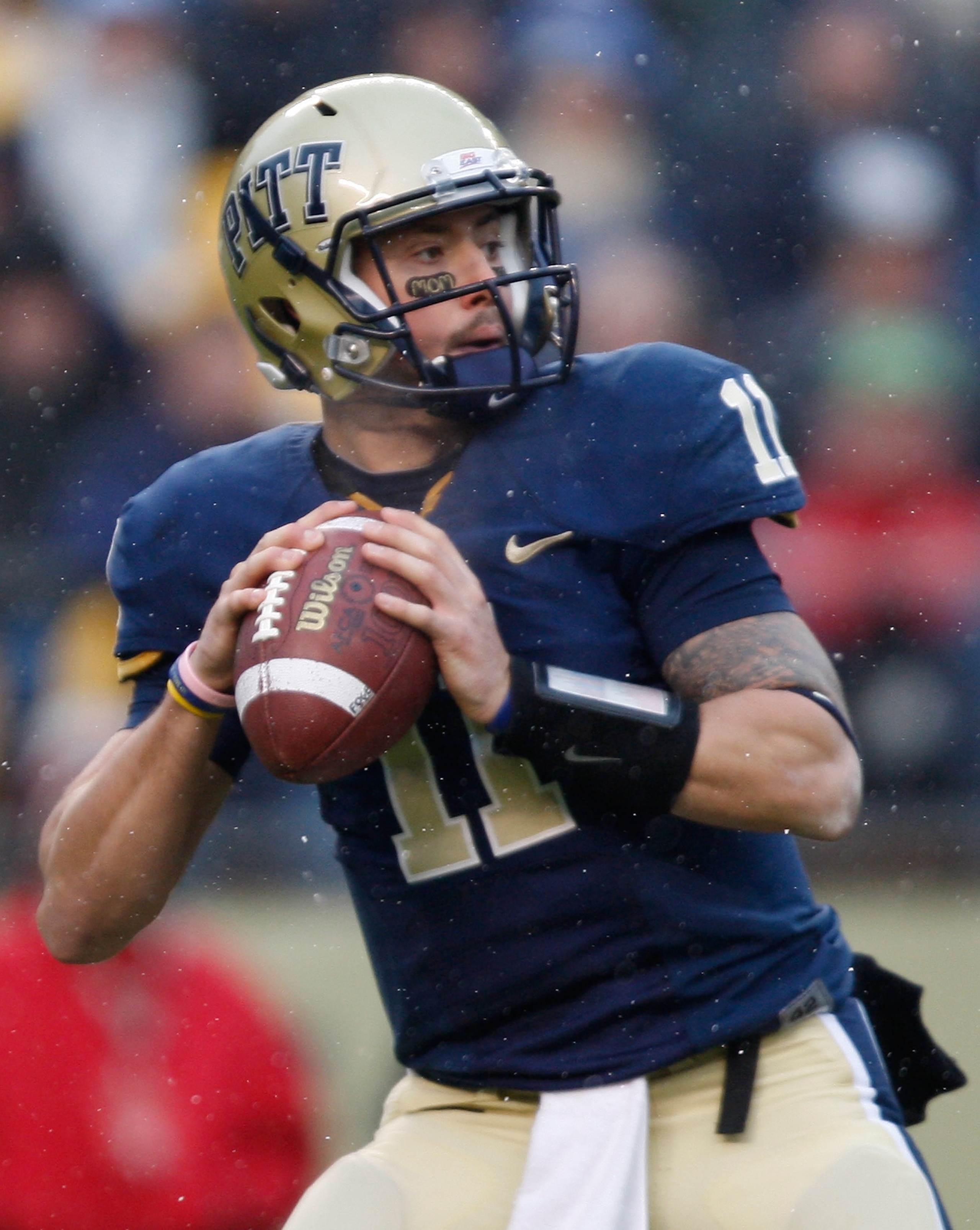 PITTSBURGH - DECEMBER 05: Bill Stull #11 of the University of Pittsburgh Panthers drops back to pass against the Cincinnati Bearcats on December 5, 2009 at Heinz Field in Pittsburgh, Pennsylvania. (Photo by Jared Wickerham/Getty Images) PITTSBURGH - DECEMBER 05: Bill Stull #11 of the University of Pittsburgh Panthers drops back to pass against the Cincinnati Bearcats on December 5, 2009 at Heinz Field in Pittsburgh, Pennsylvania. (Photo by Jared Wickerham/Getty Images)