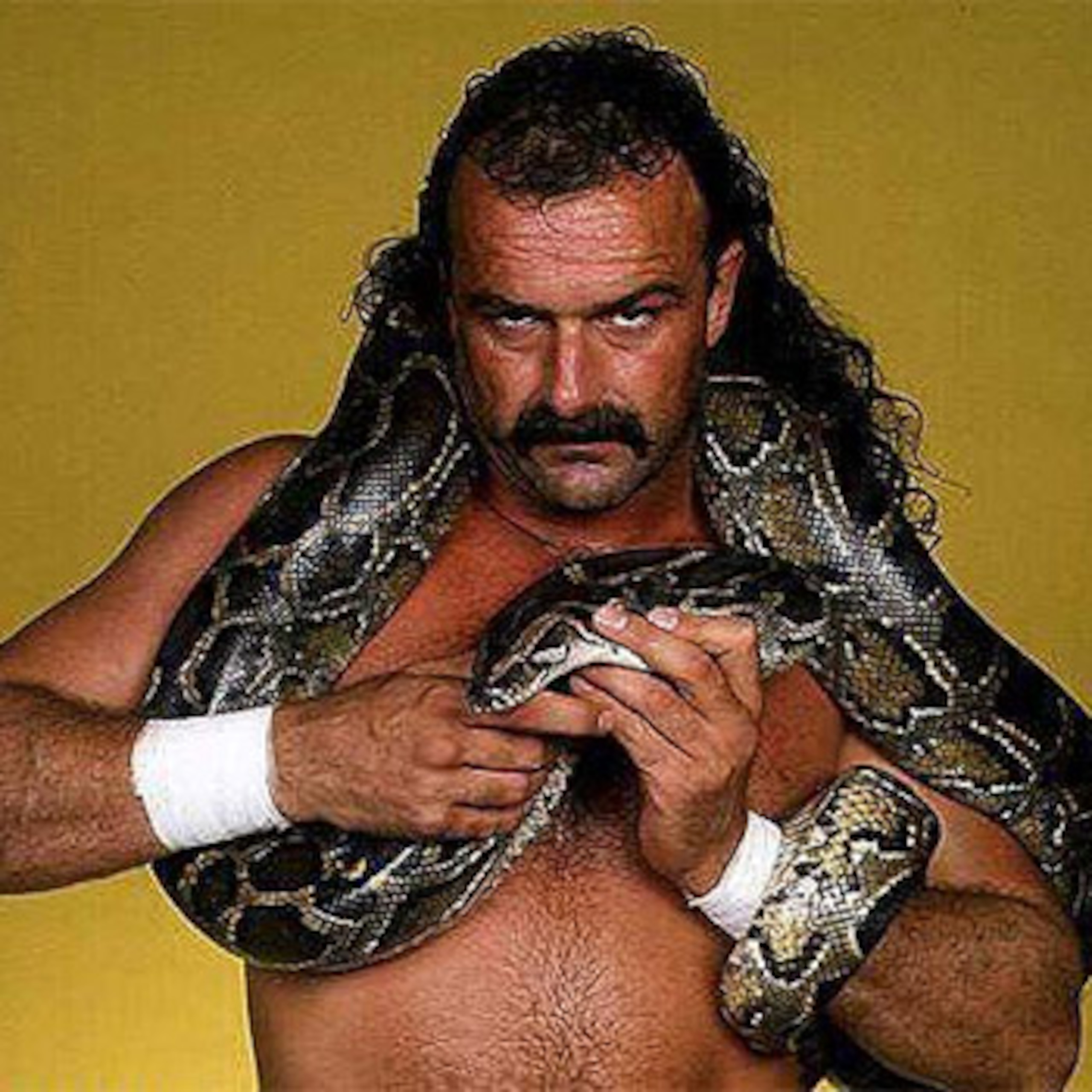 - Copyright: World Wrestling Entertainment, Inc. - Copyright: World Wrestling Entertainment, Inc.