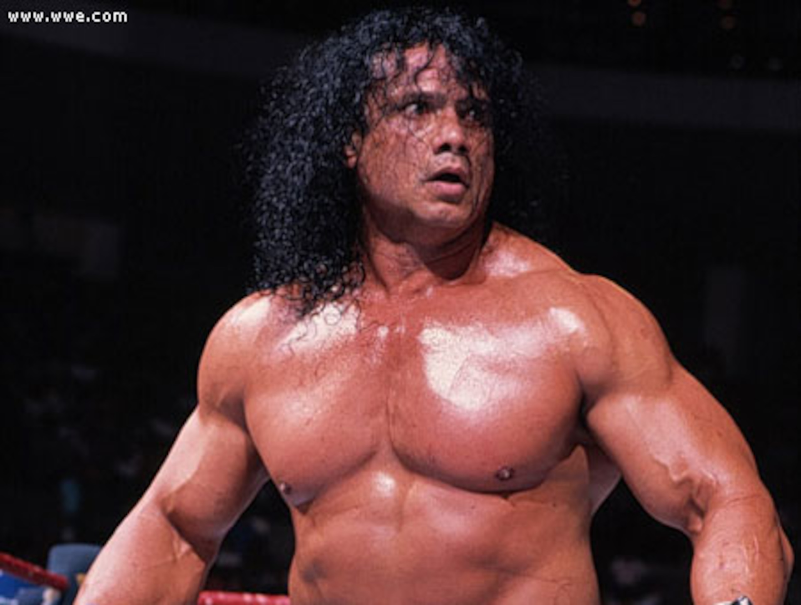 - Copyright: World Wrestling Entertainment, Inc. - Copyright: World Wrestling Entertainment, Inc.