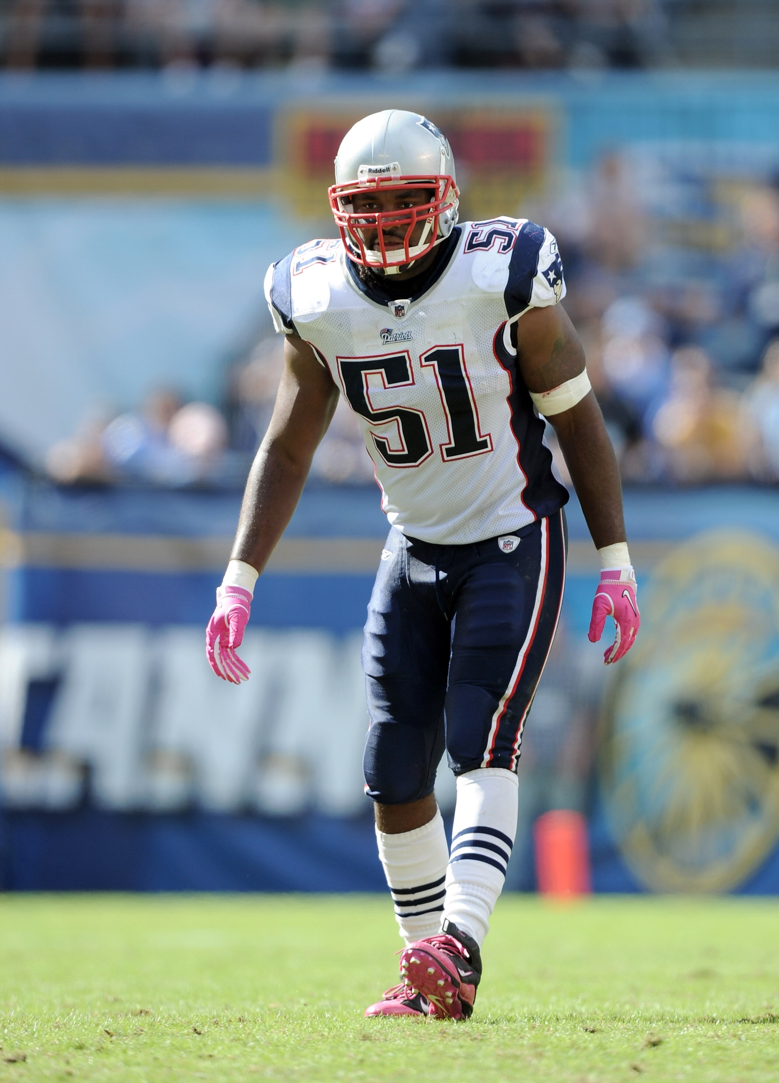 SAN DIEGO - OCTOBER 24: Jerod Mayo #51 of the New England Patriots on defense against the San Diego Chargers at Qualcomm Stadium on October 24, 2010 in San Diego, California. (Photo by Harry How/Getty Images) SAN DIEGO - OCTOBER 24: Jerod Mayo #51 of the New England Patriots on defense against the San Diego Chargers at Qualcomm Stadium on October 24, 2010 in San Diego, California. (Photo by Harry How/Getty Images)