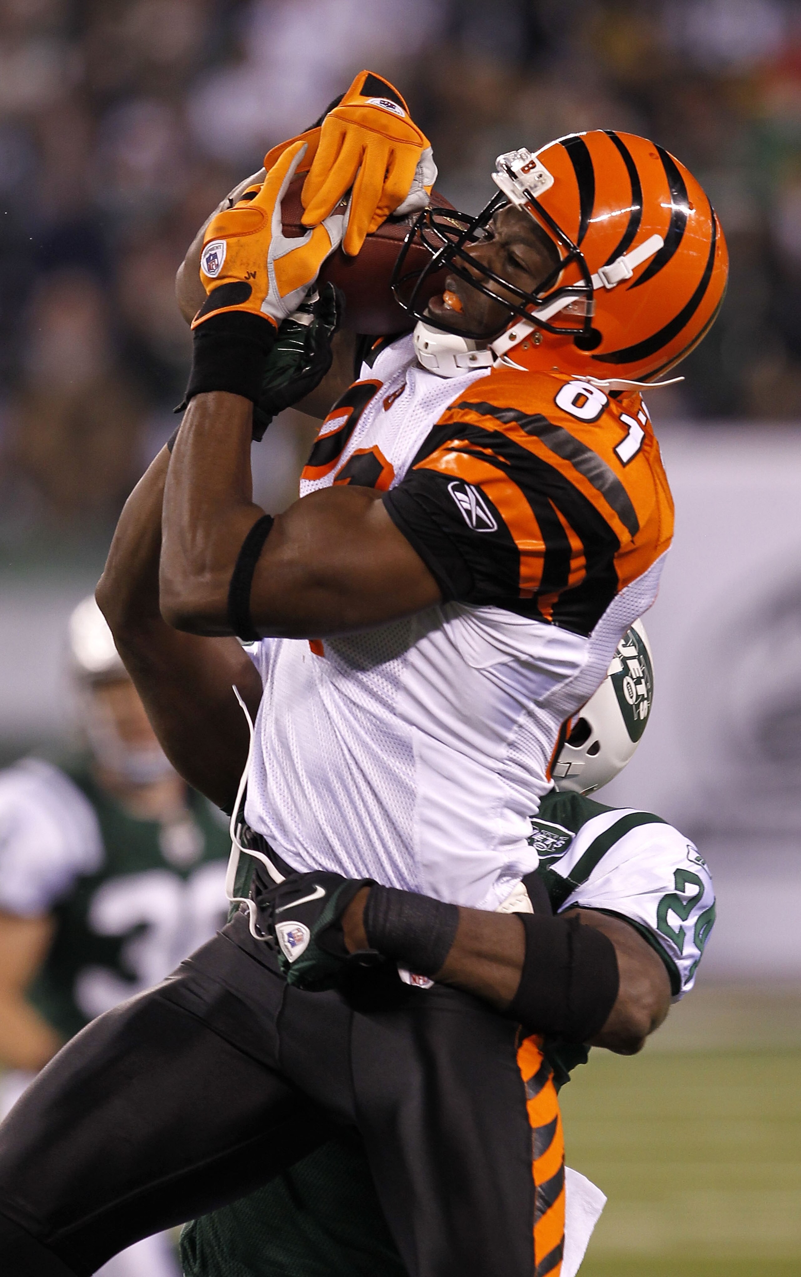 EAST RUTHERFORD, NJ - NOVEMBER 25: Terrell Owens #81 of the Cincinnati Bengals catches a pass under pressure from Darrell Revis #24 of the New York Jets at New Meadowlands Stadium on November 25, 2010 in East Rutherford, New Jersey. The Jets defeated the EAST RUTHERFORD, NJ - NOVEMBER 25: Terrell Owens #81 of the Cincinnati Bengals catches a pass under pressure from Darrell Revis #24 of the New York Jets at New Meadowlands Stadium on November 25, 2010 in East Rutherford, New Jersey. The Jets defeated the