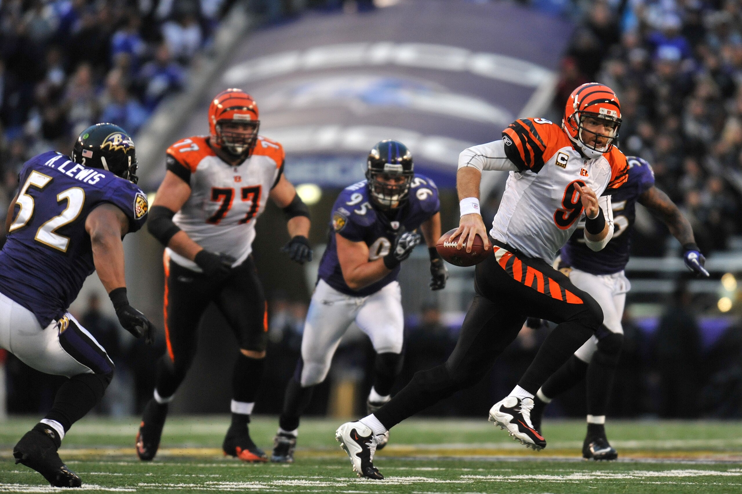 BALTIMORE, MD - JANUARY 2: Carson Palmer #9 of the Cincinnati Bengals runs the ball before fumbling with less than two minutes to go in the game against the Baltimore Ravens at M&T Bank Stadium on January 2, 2011 in Baltimore, Maryland. The Ravens defea BALTIMORE, MD - JANUARY 2: Carson Palmer #9 of the Cincinnati Bengals runs the ball before fumbling with less than two minutes to go in the game against the Baltimore Ravens at M&T Bank Stadium on January 2, 2011 in Baltimore, Maryland. The Ravens defea