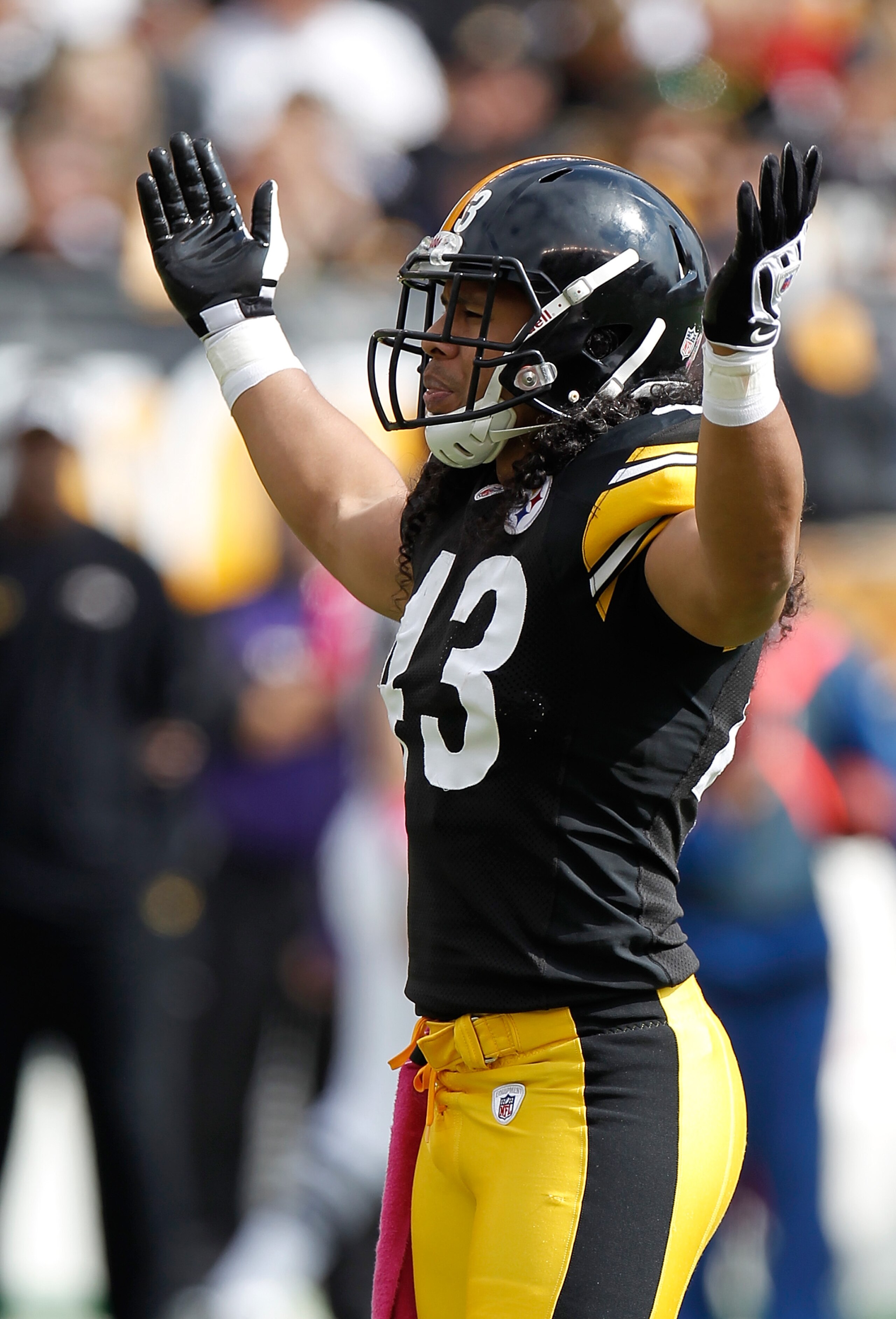 PITTSBURGH - OCTOBER 03: Troy Polamalu #43 of the Pittsburgh Steelers reacts during the game against the Baltimore Ravens on October 3, 2010 at Heinz Field in Pittsburgh, Pennsylvania. (Photo by Gregory Shamus/Getty Images)